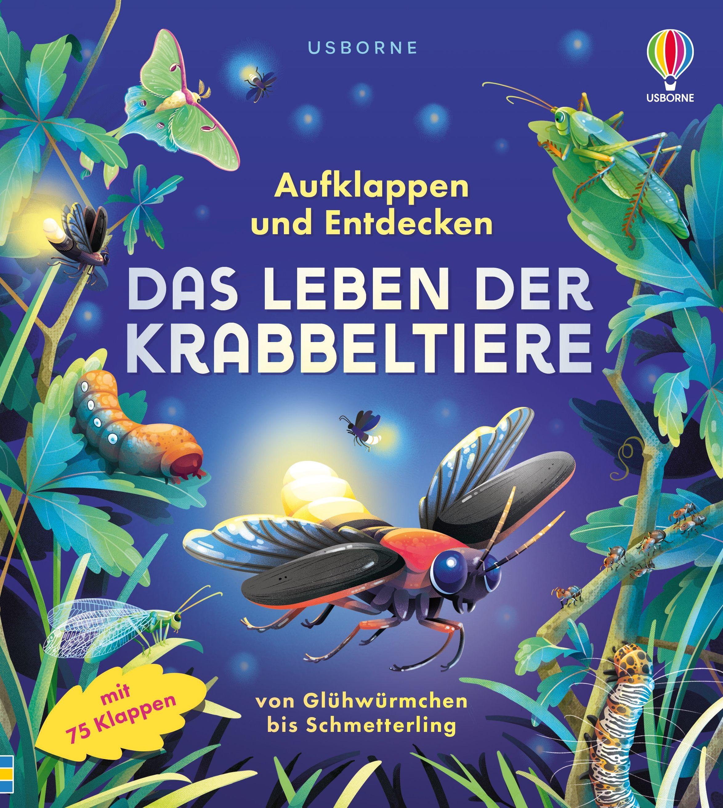 Vorderes Coverbild Aufklappen und Entdecken: Das Leben der Krabbeltiere