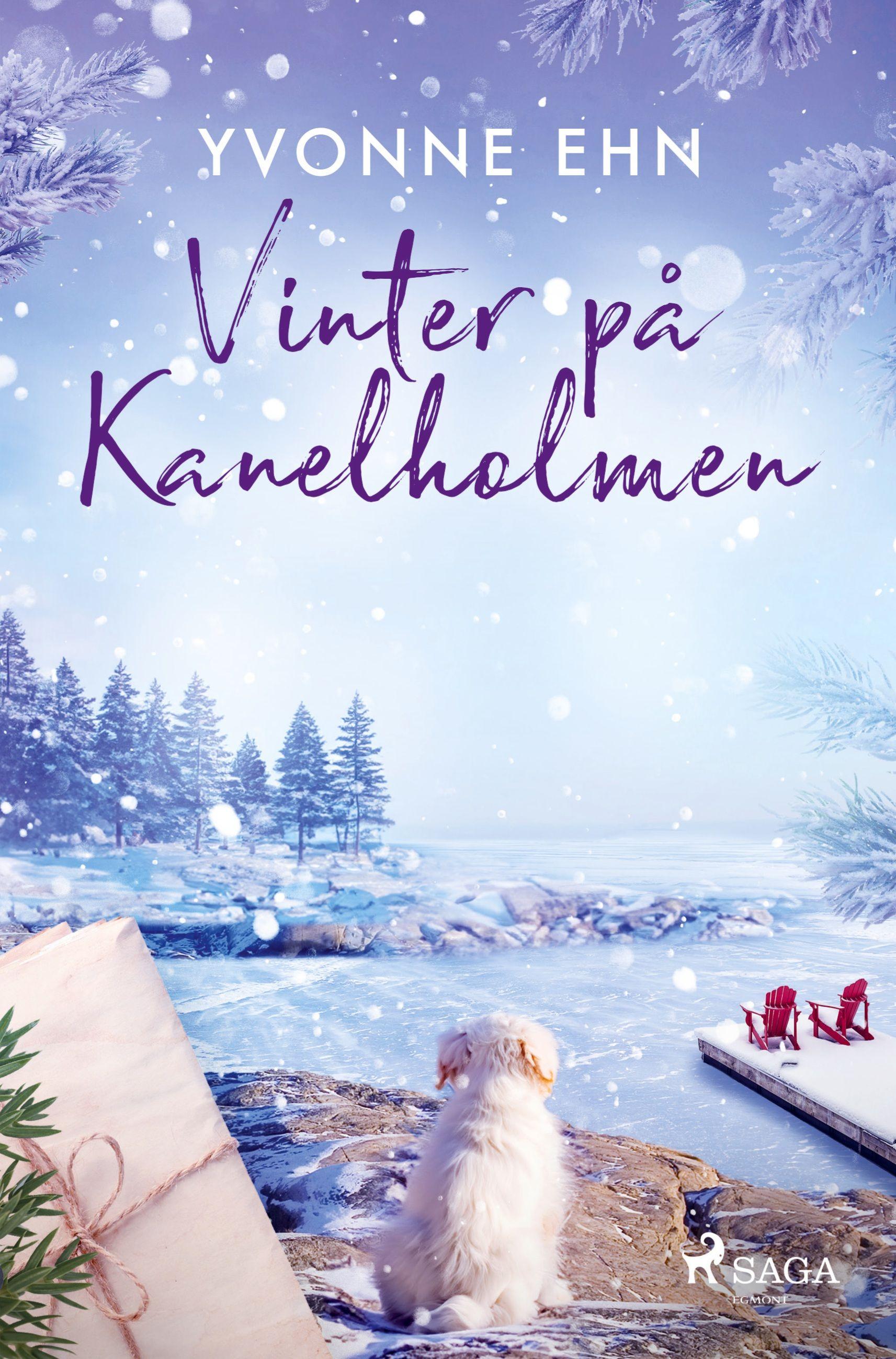 Vorderes Coverbild Vinter på Kanelholmen