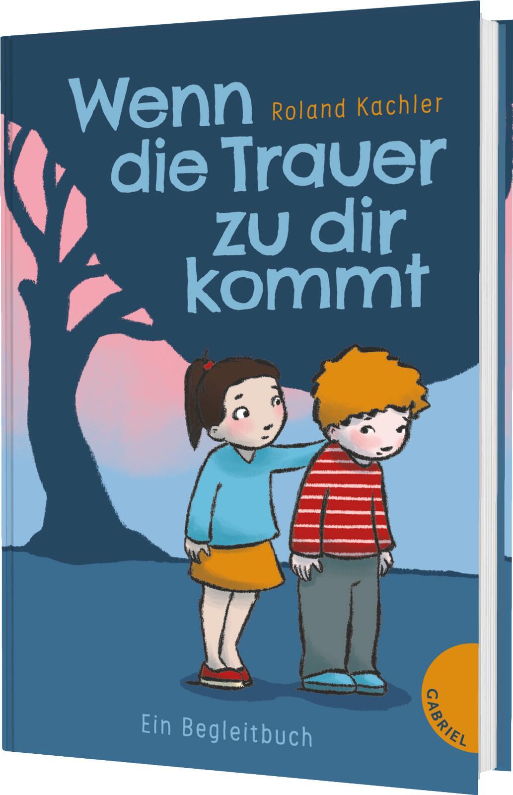 Vorderes Coverbild Wenn die Trauer zu dir kommt