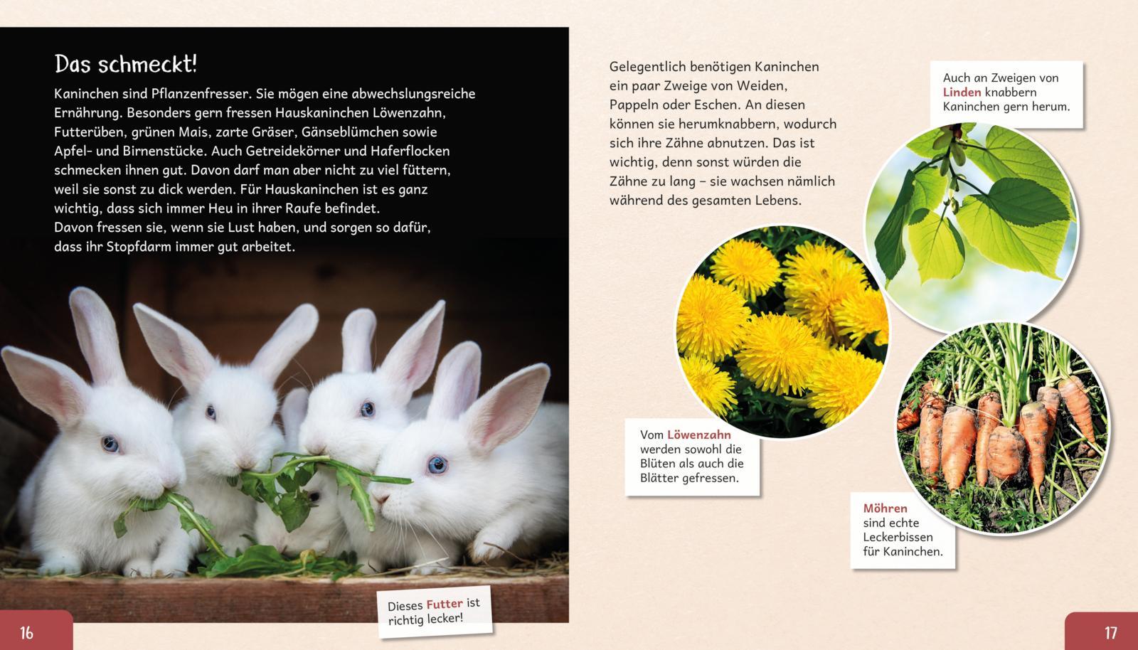 Beispielinhalt (Bild) Meine große Tierbibliothek: Das Kaninchen