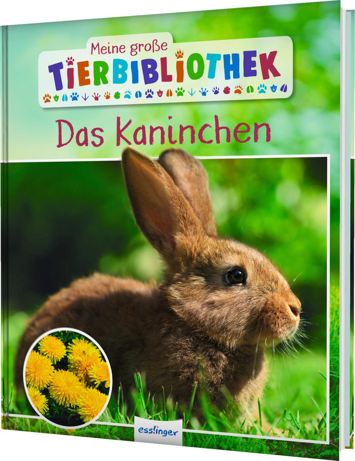 Vorderes Coverbild Meine große Tierbibliothek: Das Kaninchen