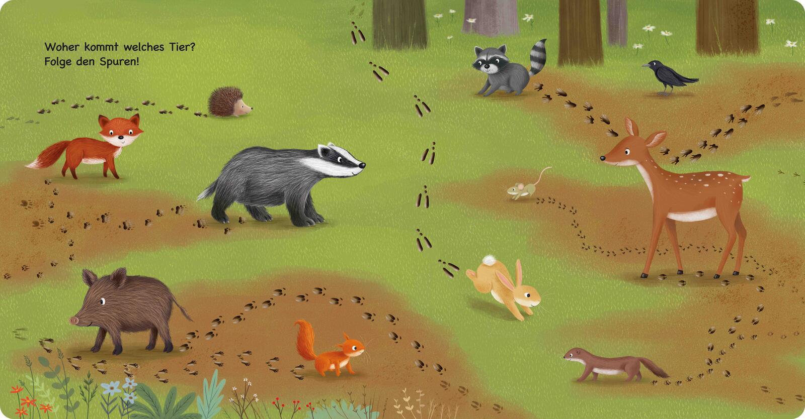 Beispielinhalt (Bild) Tiere im Wald