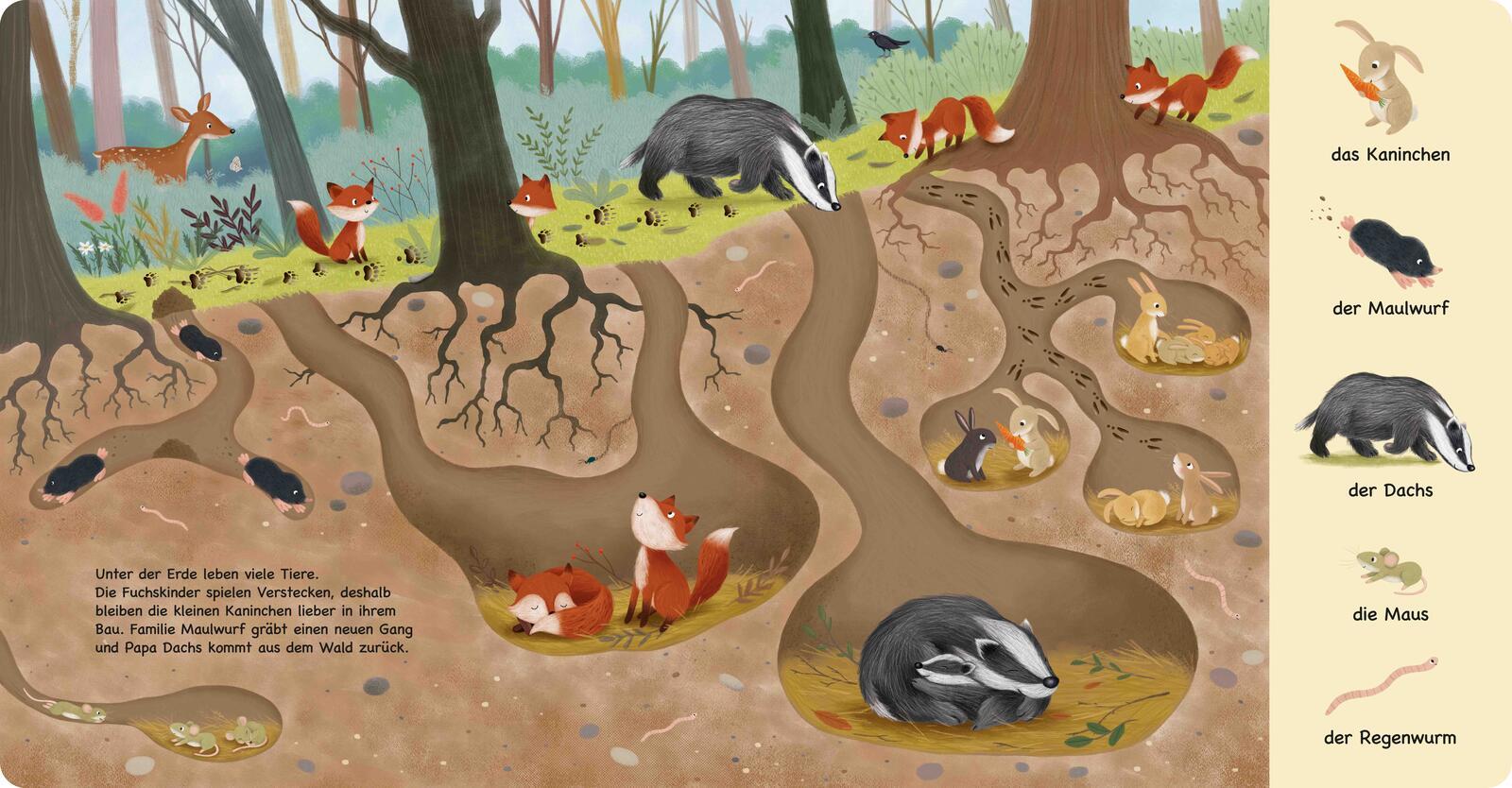 Beispielinhalt (Bild) Tiere im Wald