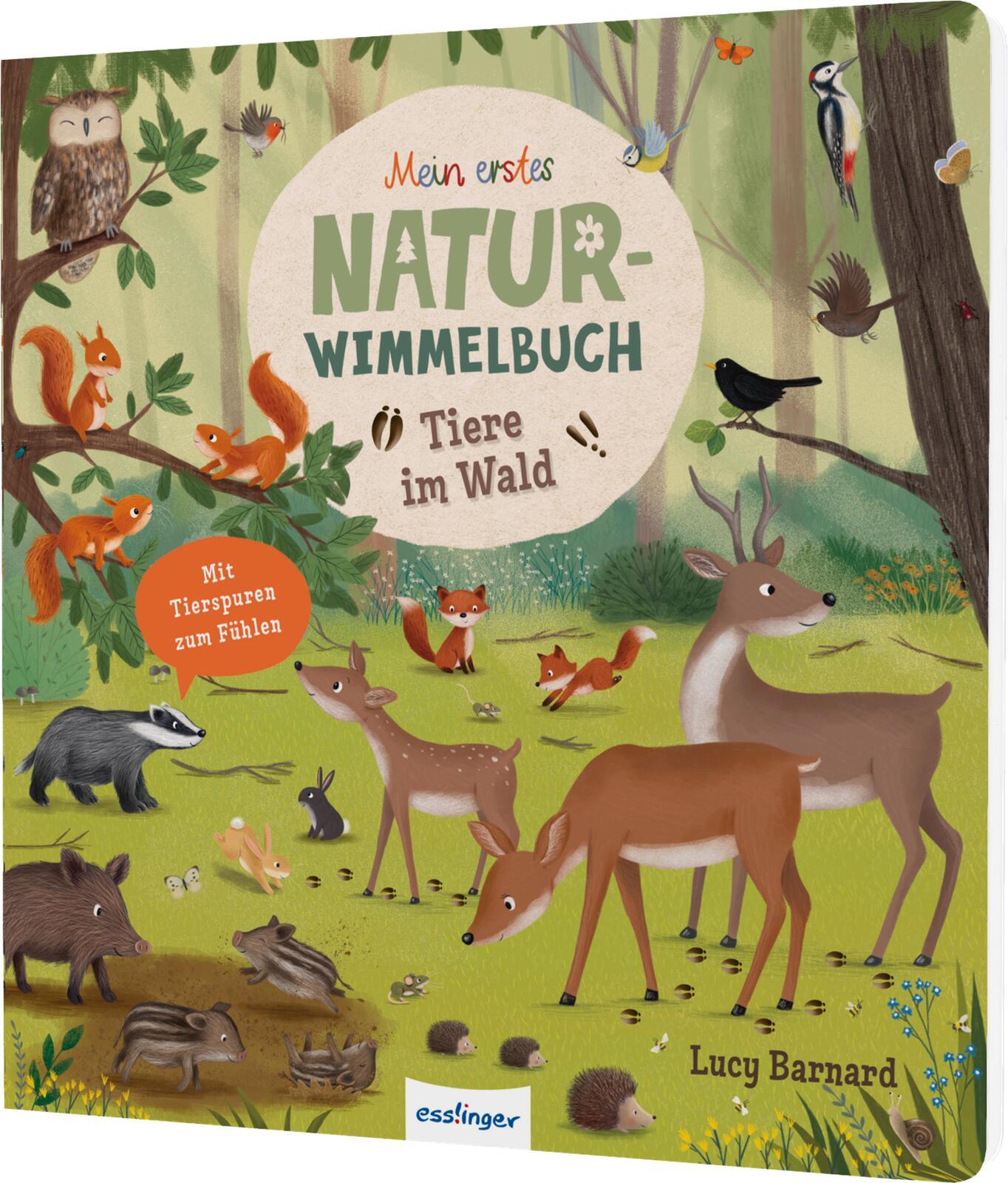 Vorderes Coverbild Tiere im Wald