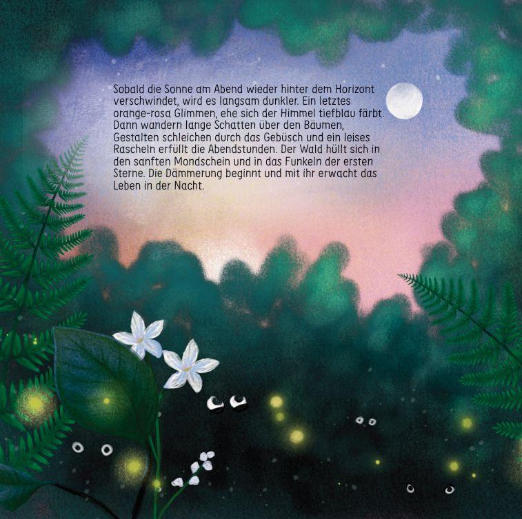 Beispielinhalt (Bild) Finn Fledermaus und das Blenden in der Nacht