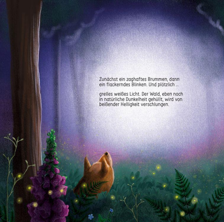 Beispielinhalt (Bild) Finn Fledermaus und das Blenden in der Nacht