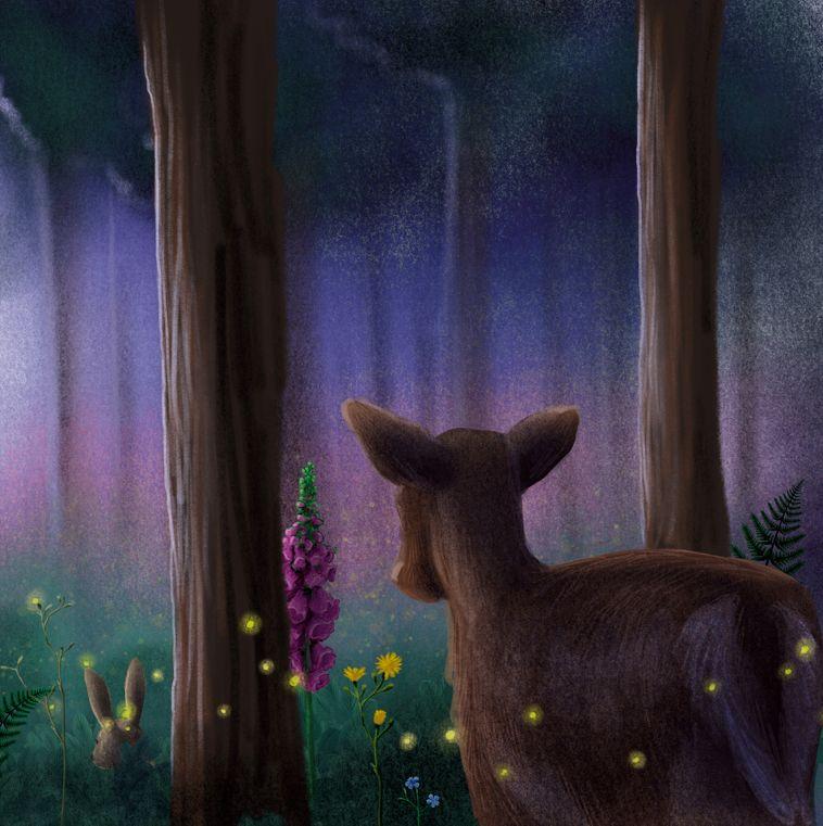 Beispielinhalt (Bild) Finn Fledermaus und das Blenden in der Nacht