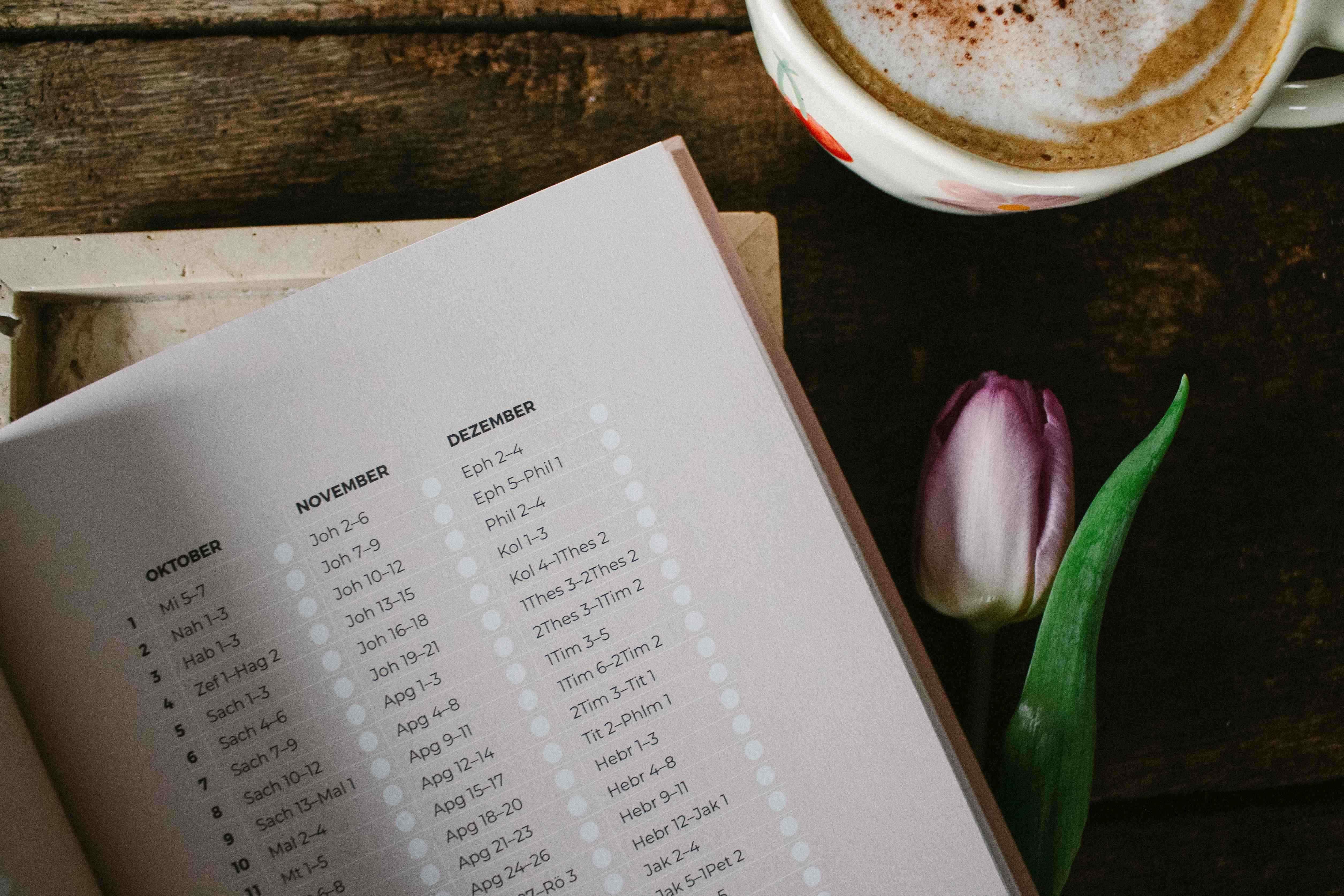 Beispielinhalt (Bild) Blühende Worte. Dein Bibellese-Journal