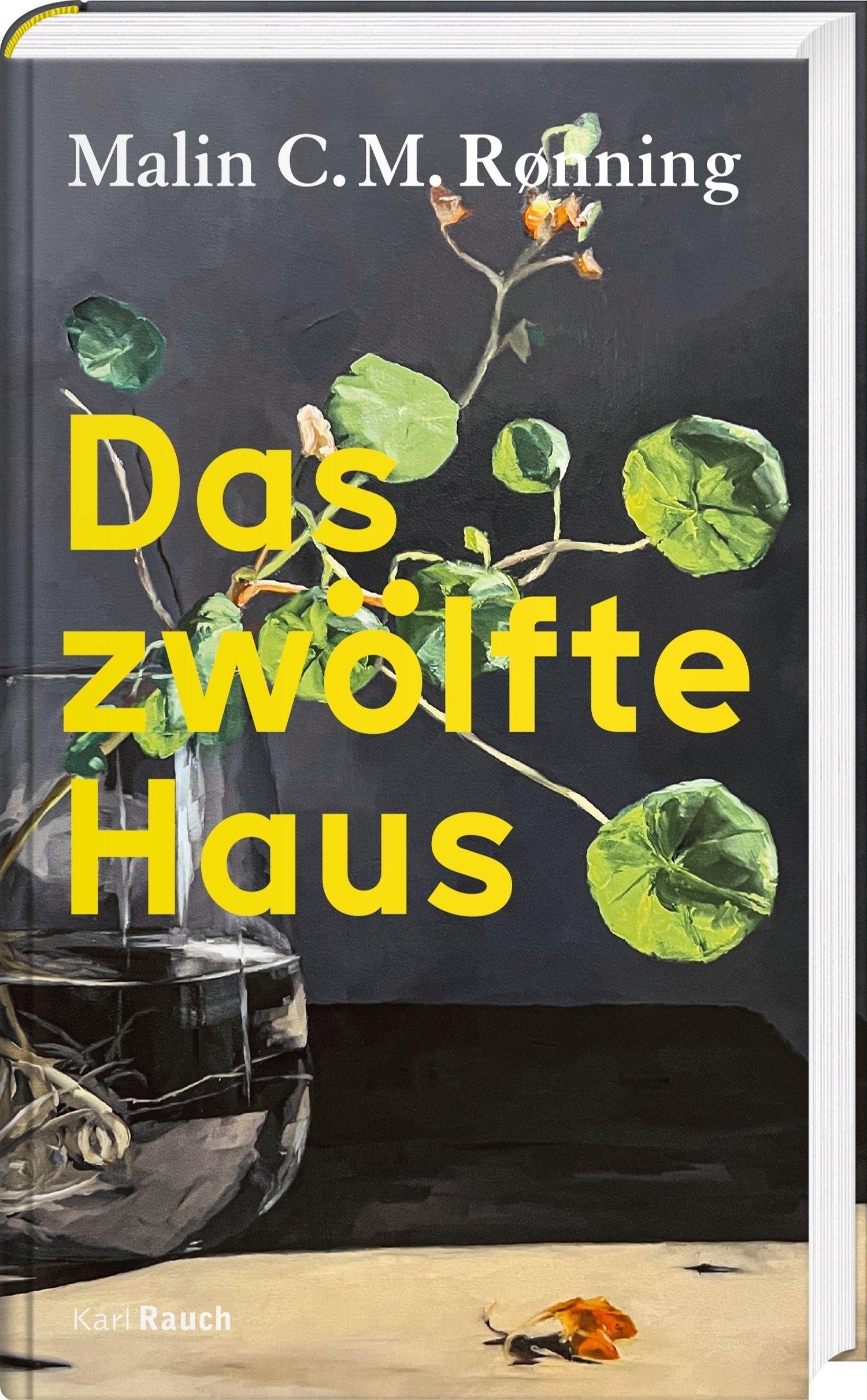 Vorderes Coverbild Das zwölfte Haus