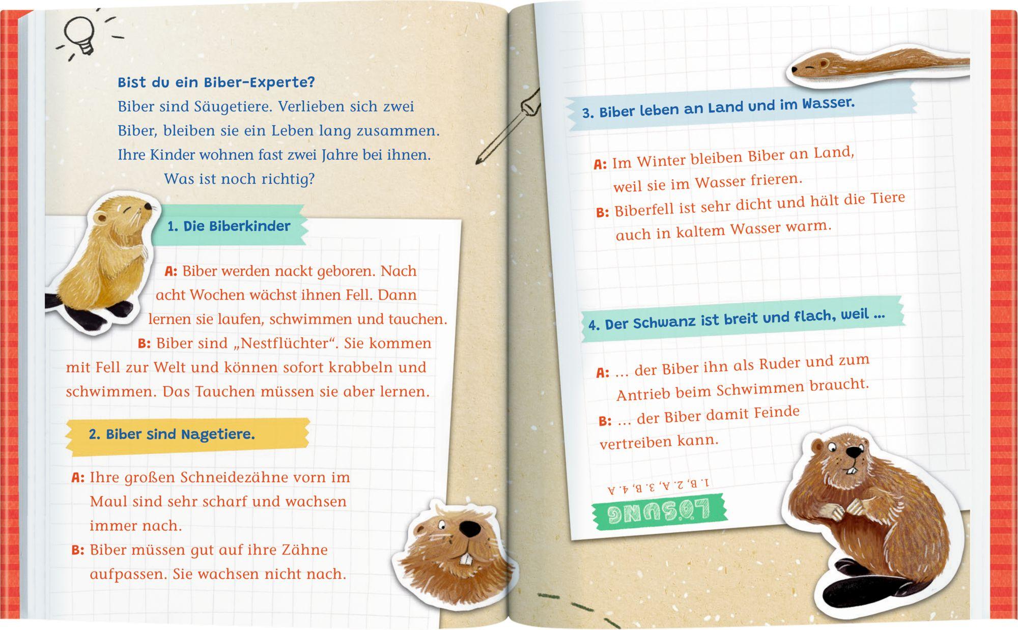 Beispielinhalt (Bild) Emil Einstein (Leseanfänger, Bd. 1)