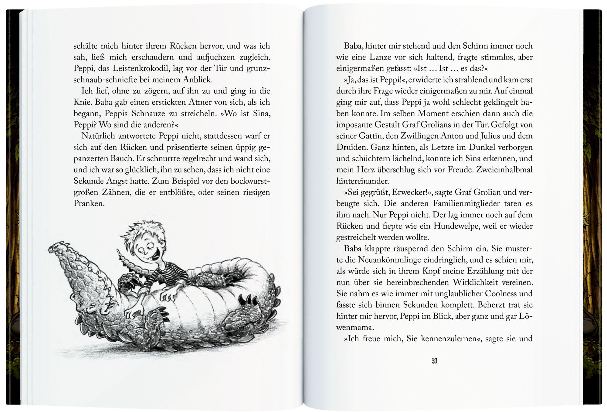 Beispielinhalt (Bild) Die Finstersteins (Bd. 2)