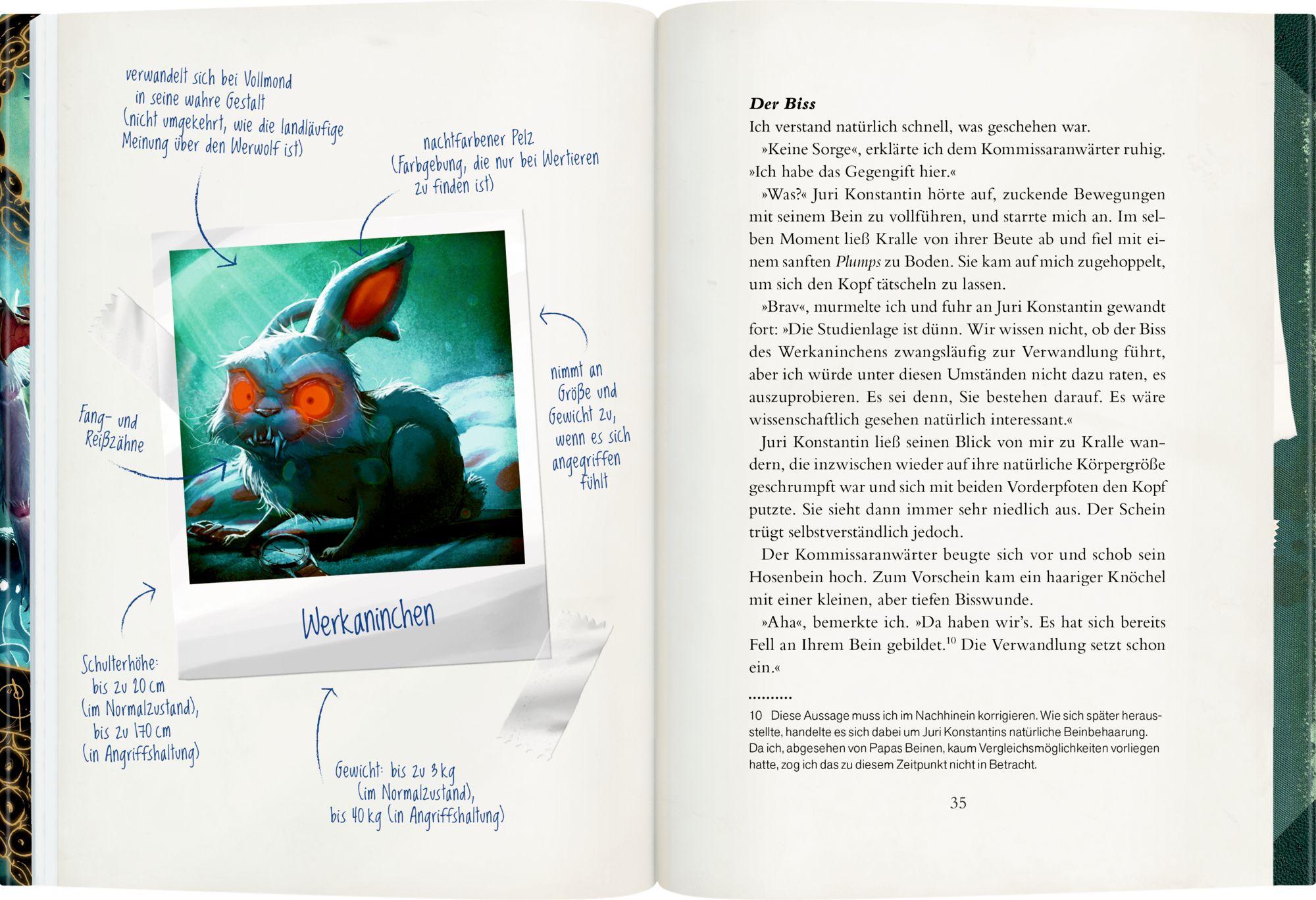 Beispielinhalt (Bild) Smeralda Bohms Bestiarium