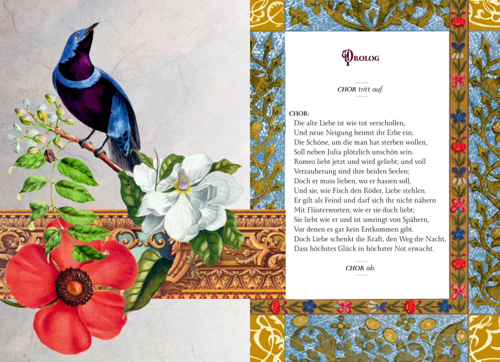 Beispielinhalt (Bild) Romeo und Julia