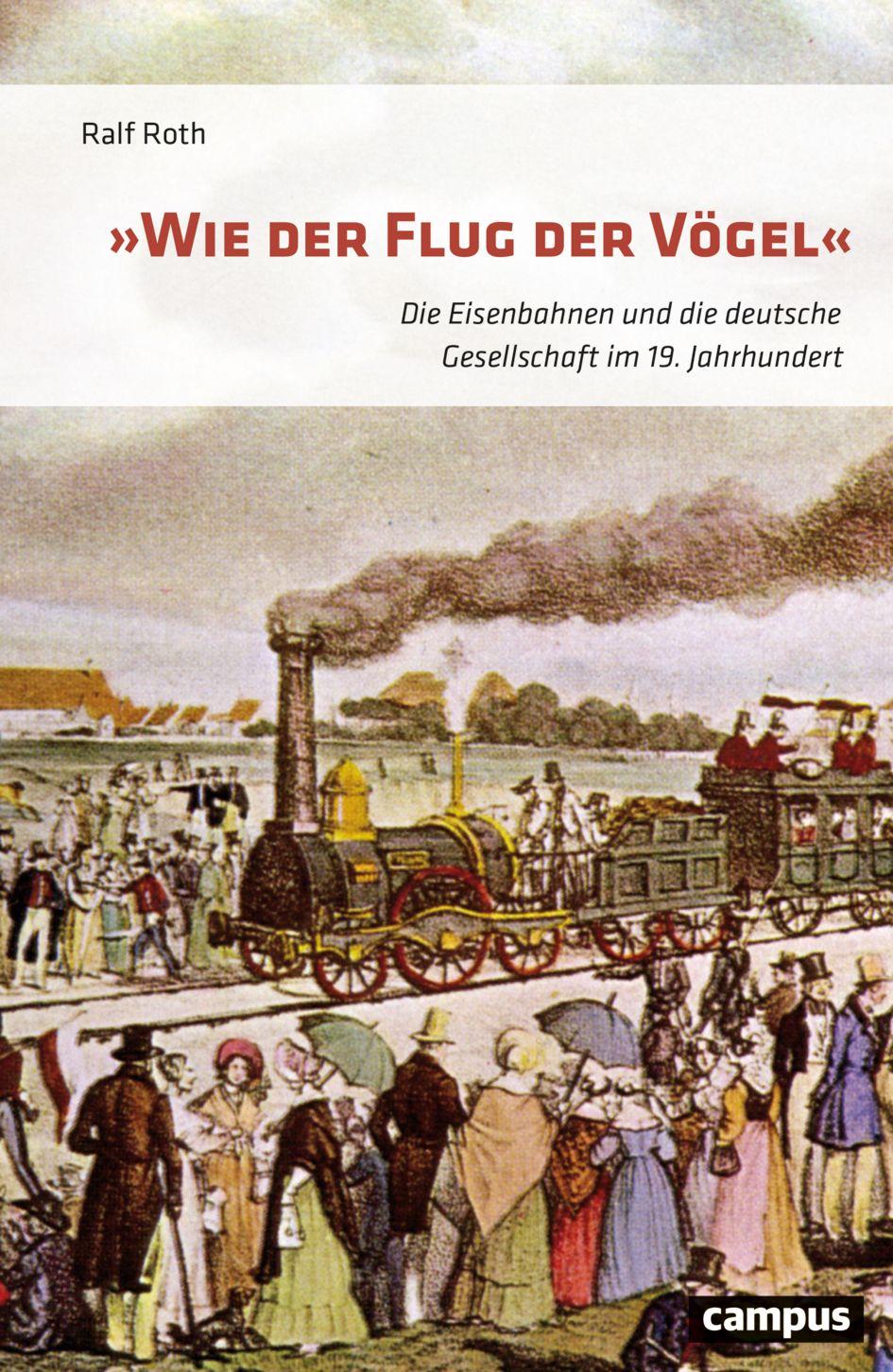 Vorderes Coverbild 'Wie der Flug der Vögel'