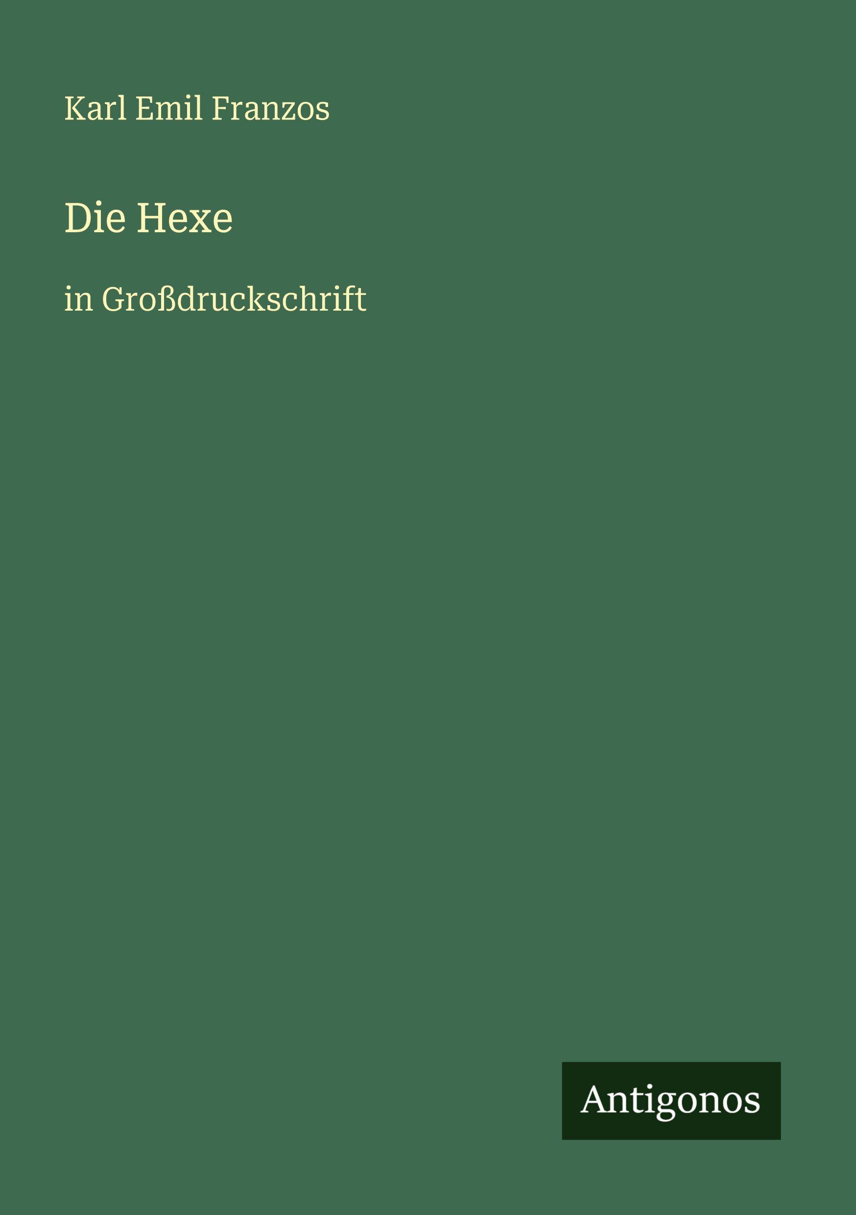 Vorderes Coverbild Die Hexe