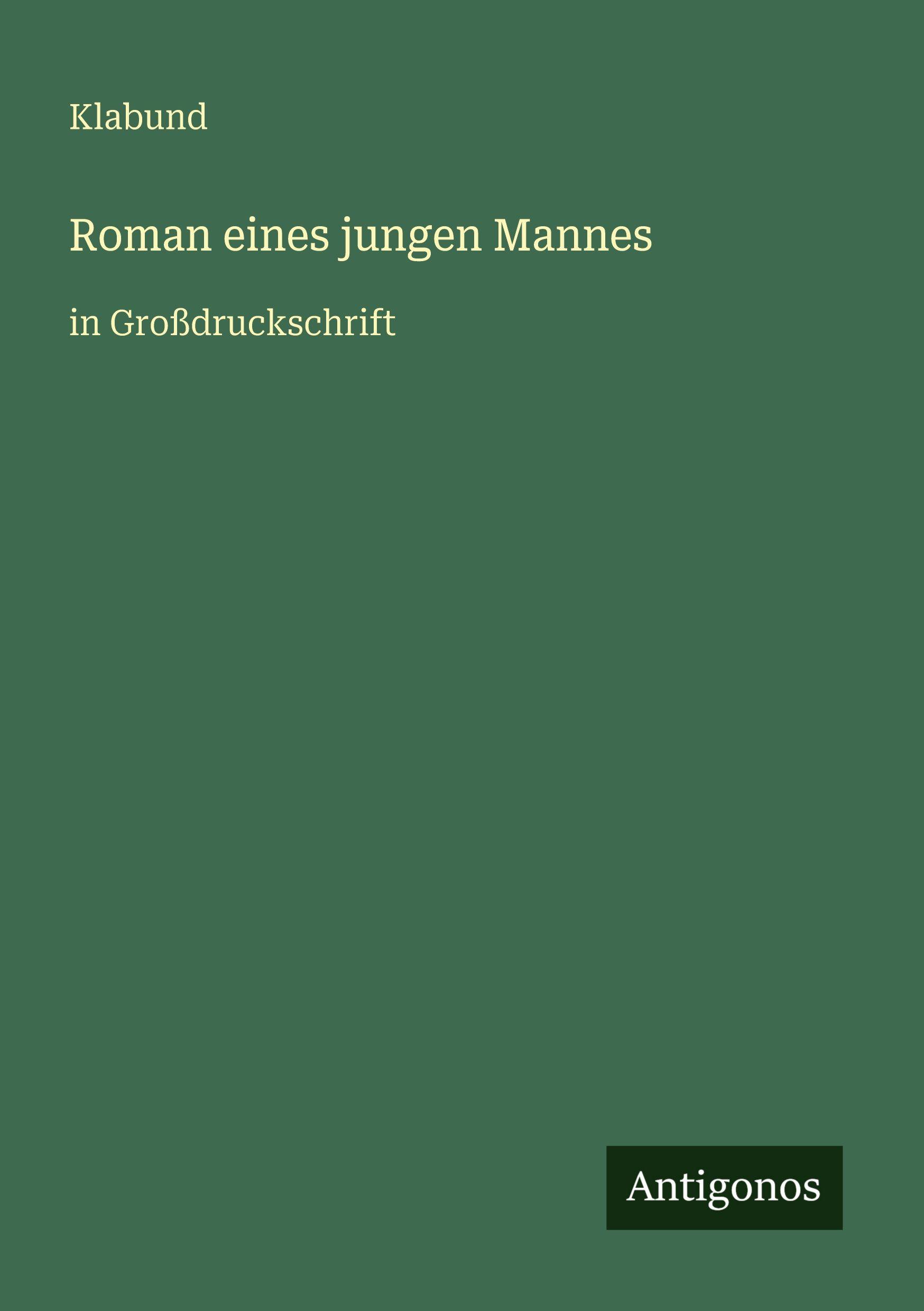 Vorderes Coverbild Roman eines jungen Mannes