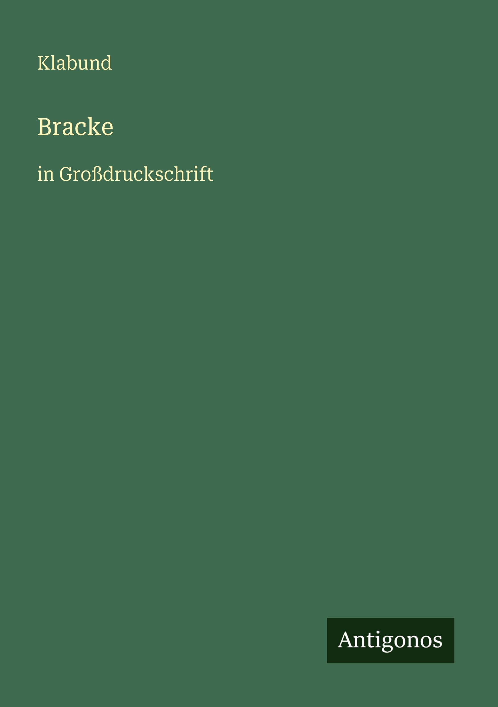 Vorderes Coverbild Bracke