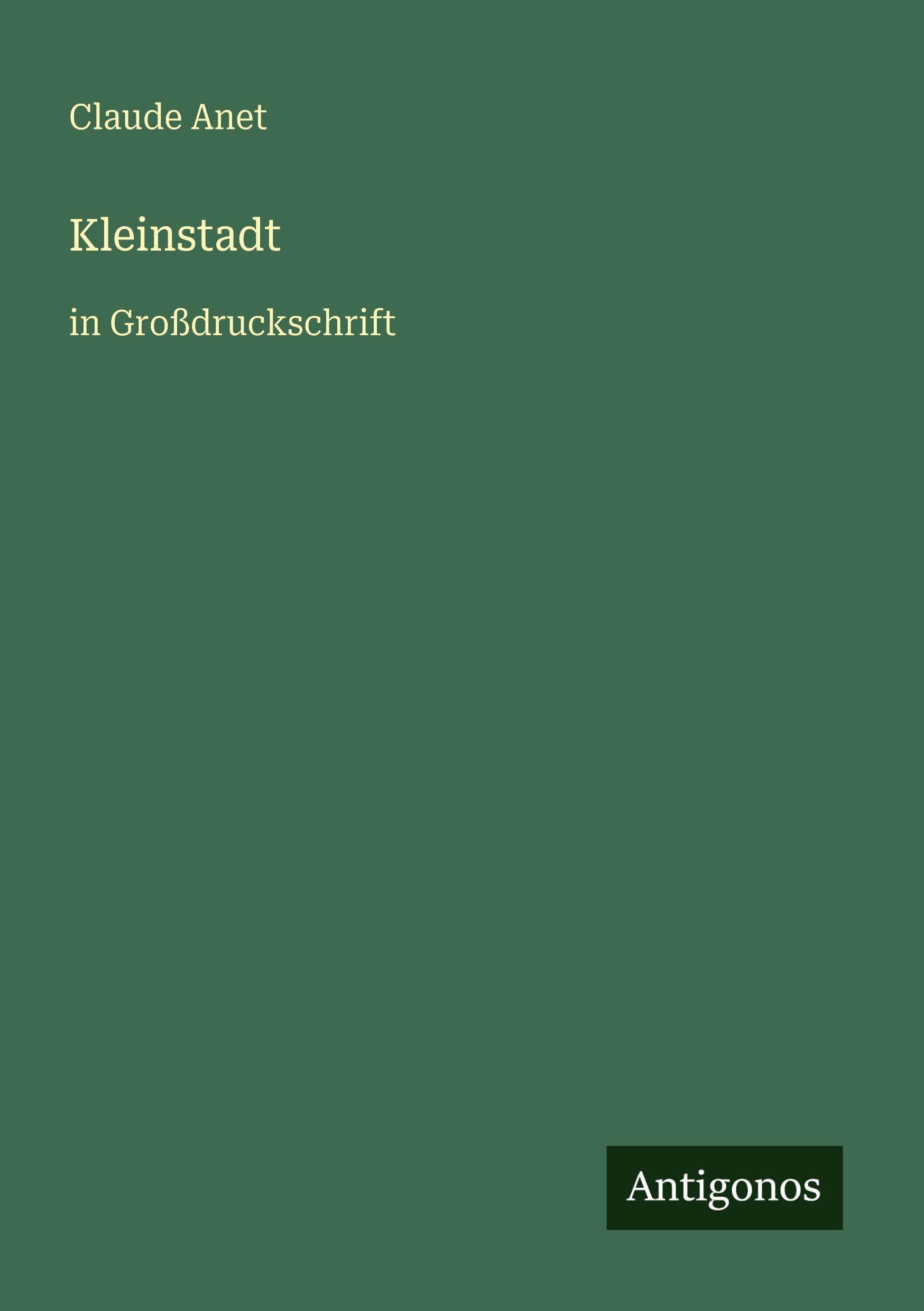 Vorderes Coverbild Kleinstadt
