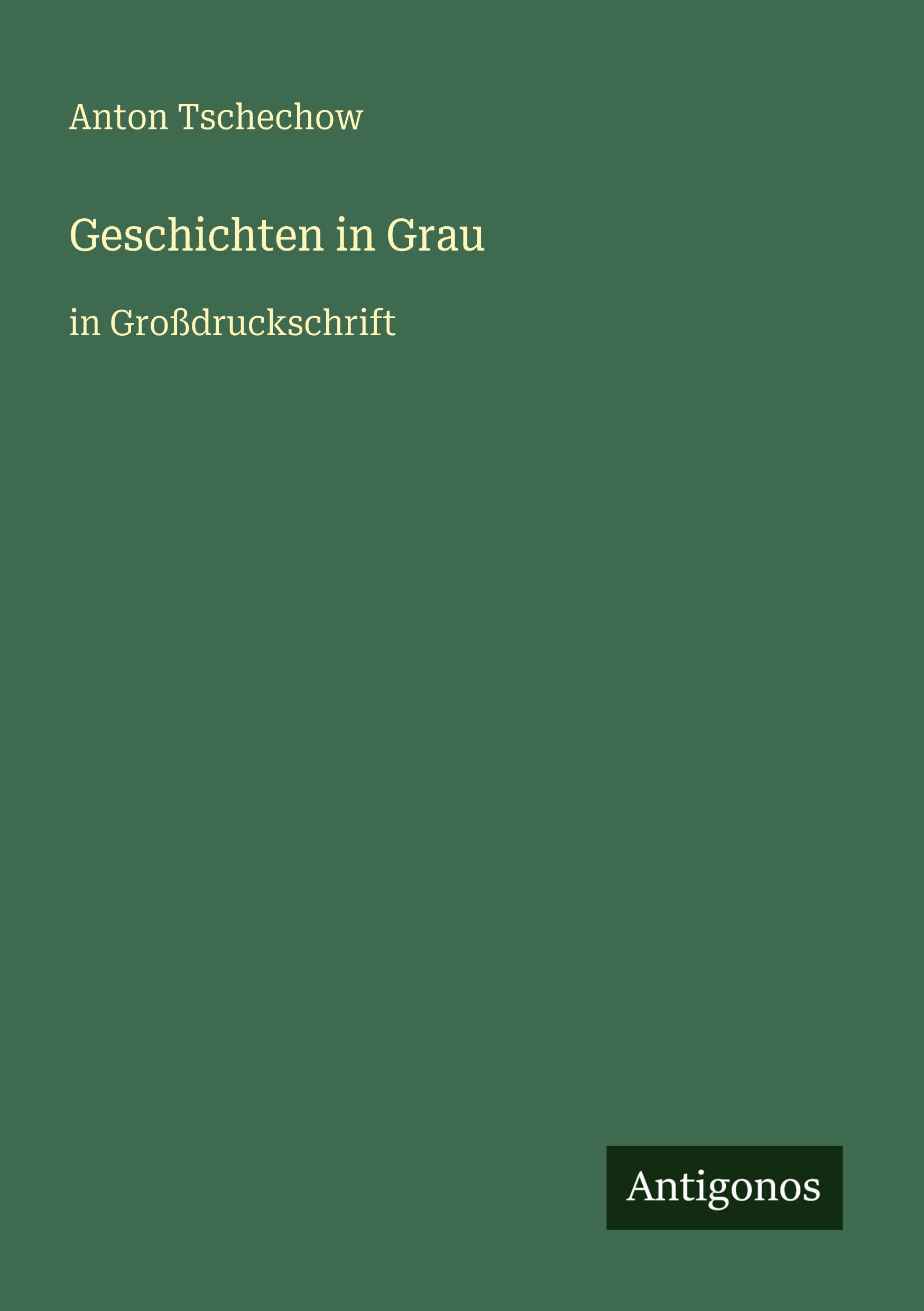 Vorderes Coverbild Geschichten in Grau