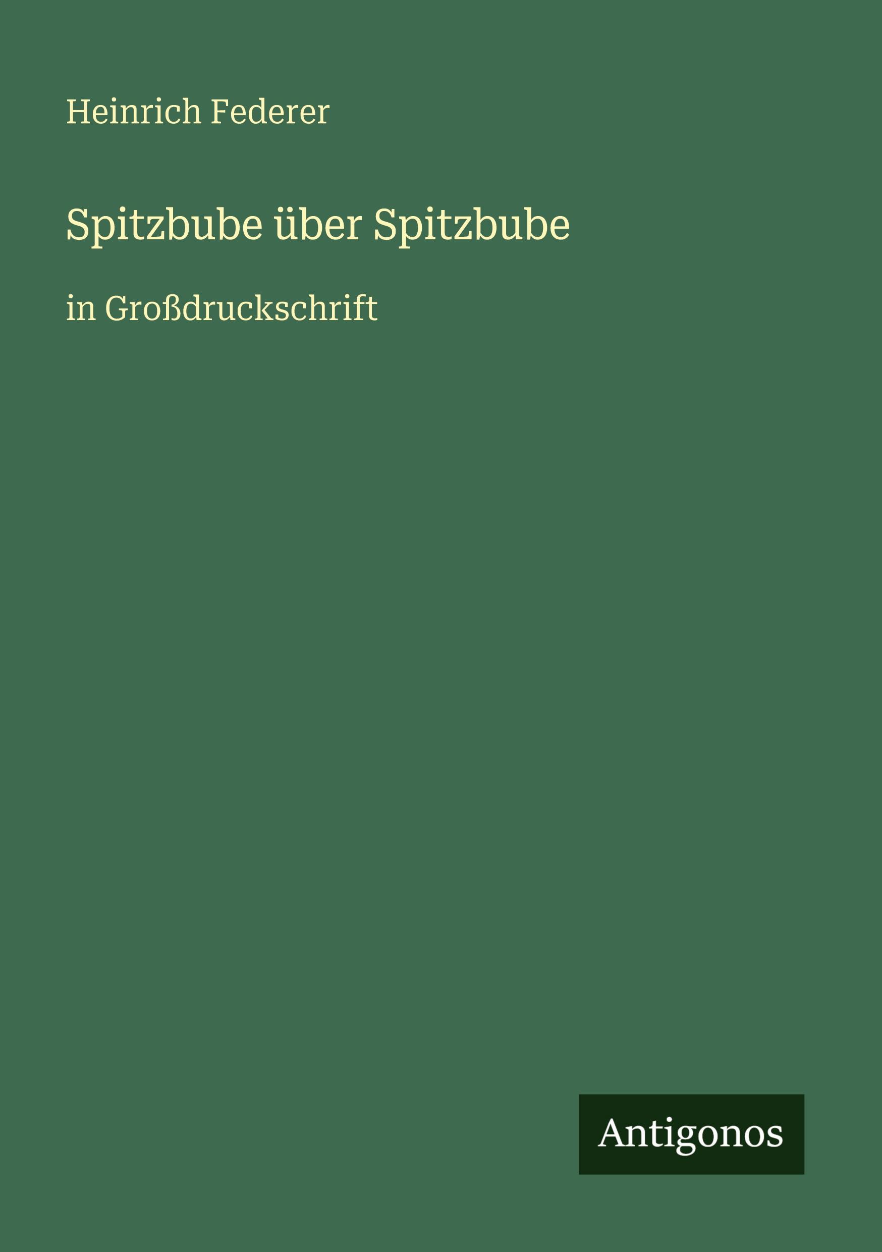 Vorderes Coverbild Spitzbube über Spitzbube