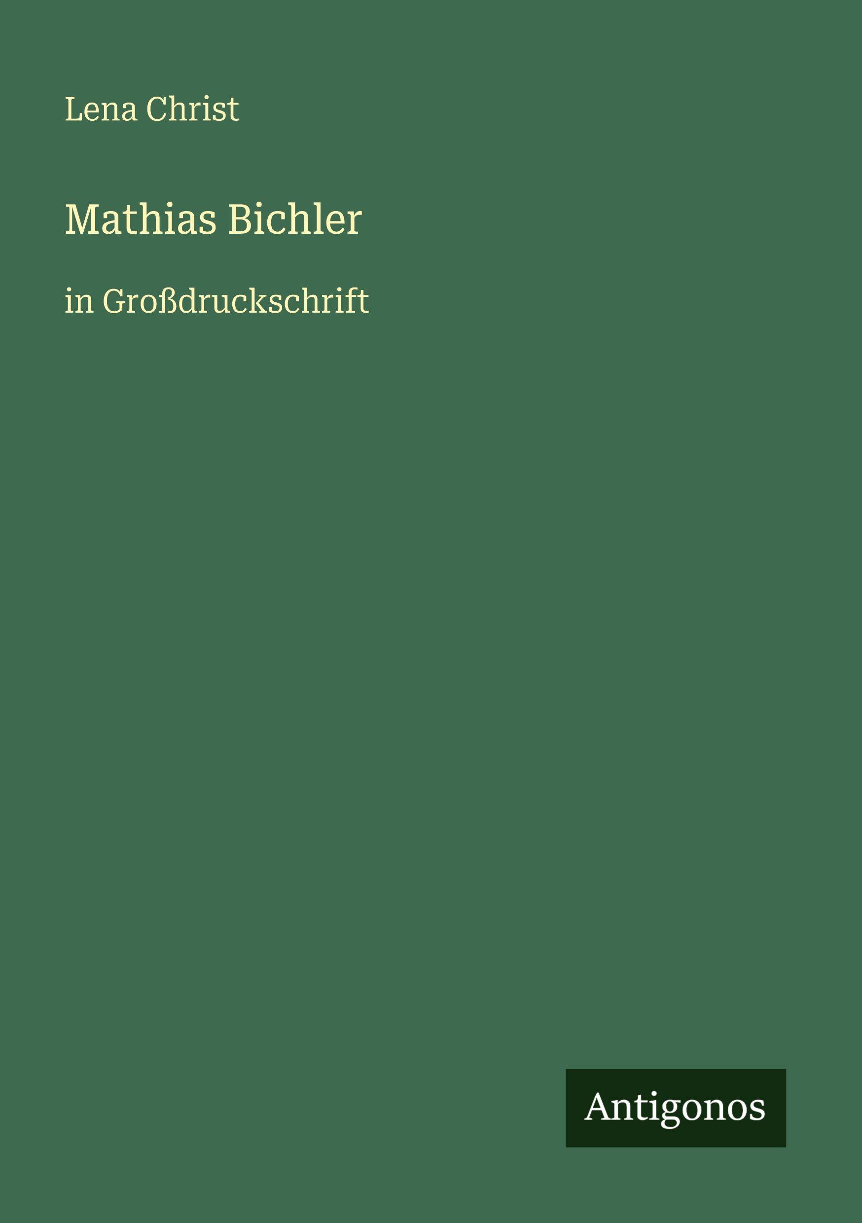 Vorderes Coverbild Mathias Bichler