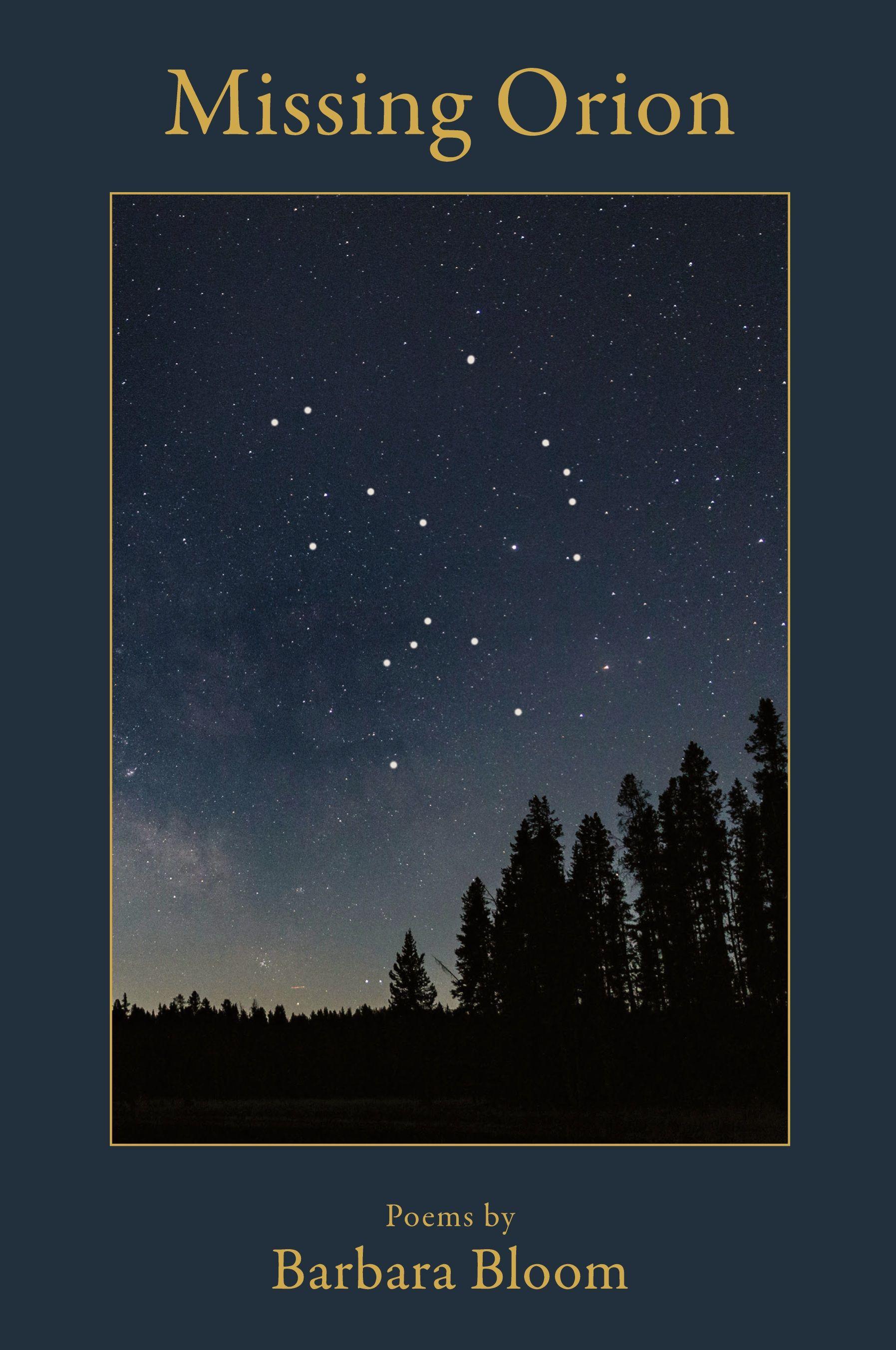 Vorderes Coverbild Missing Orion