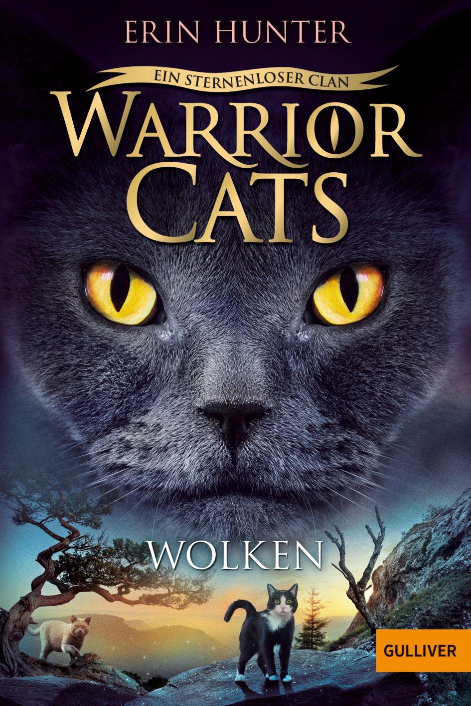 Vorderes Coverbild Warrior Cats - Ein sternenloser Clan. Wolken