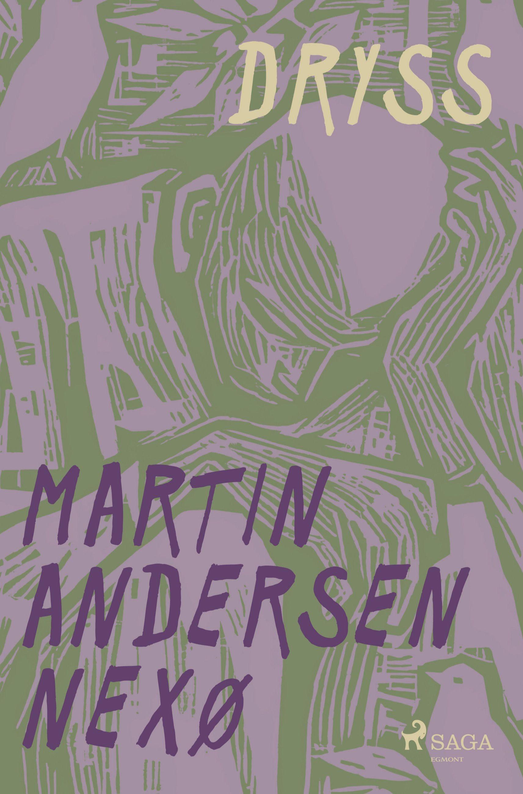 Vorderes Coverbild Dryss