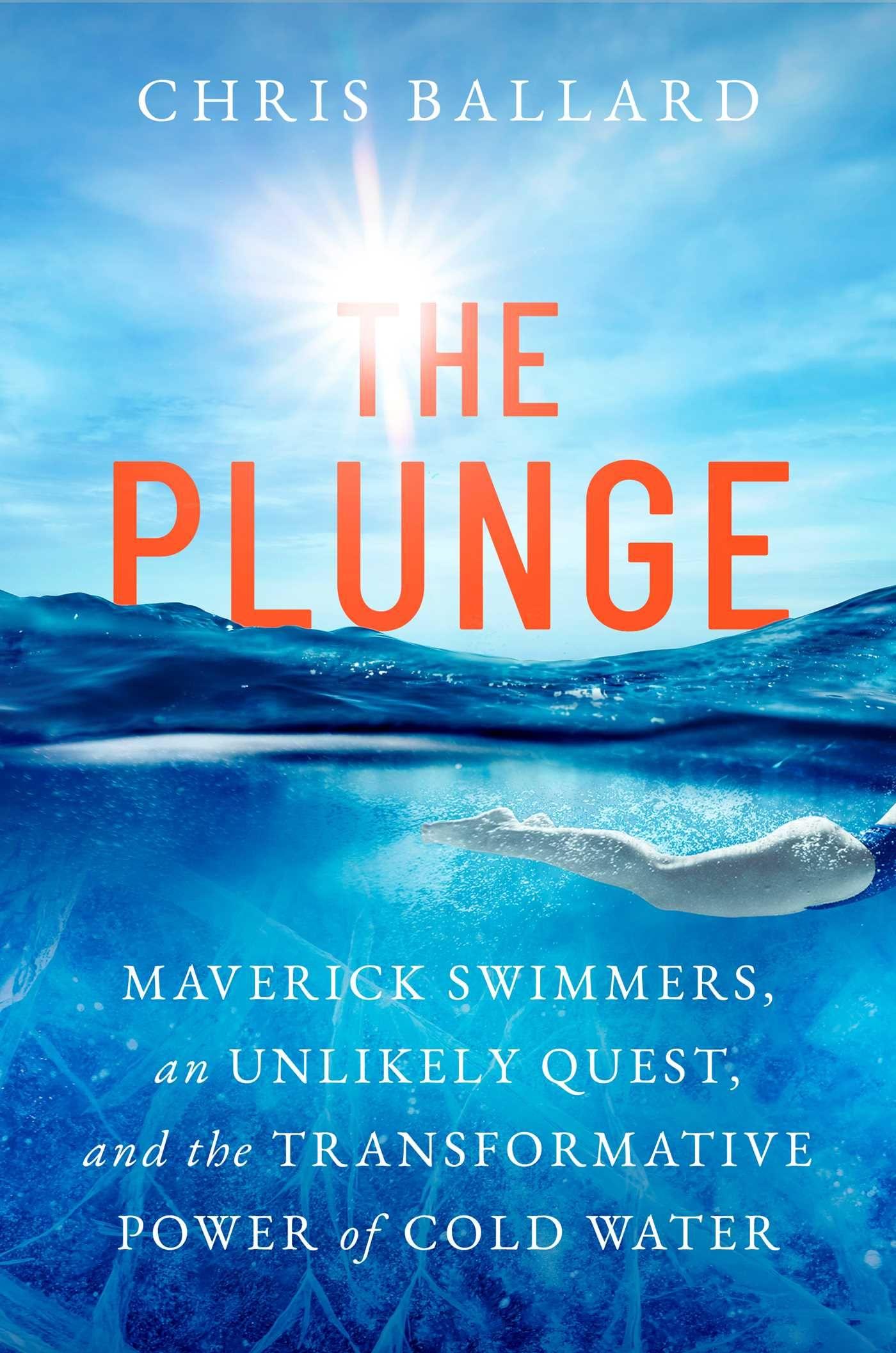 Vorderes Coverbild The Plunge