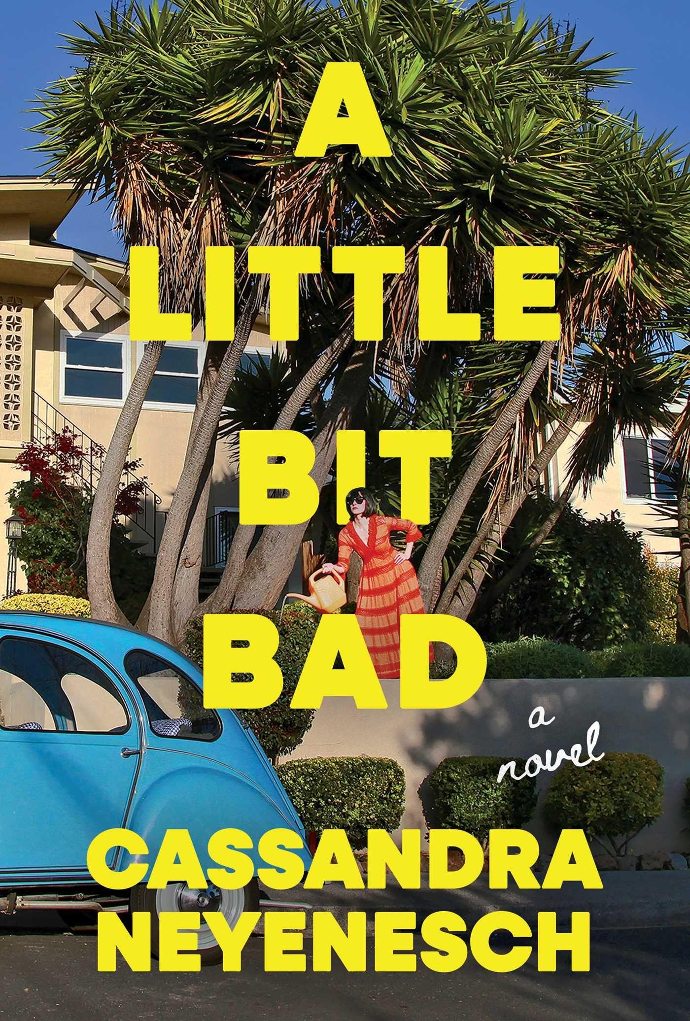 Vorderes Coverbild A Little Bit Bad