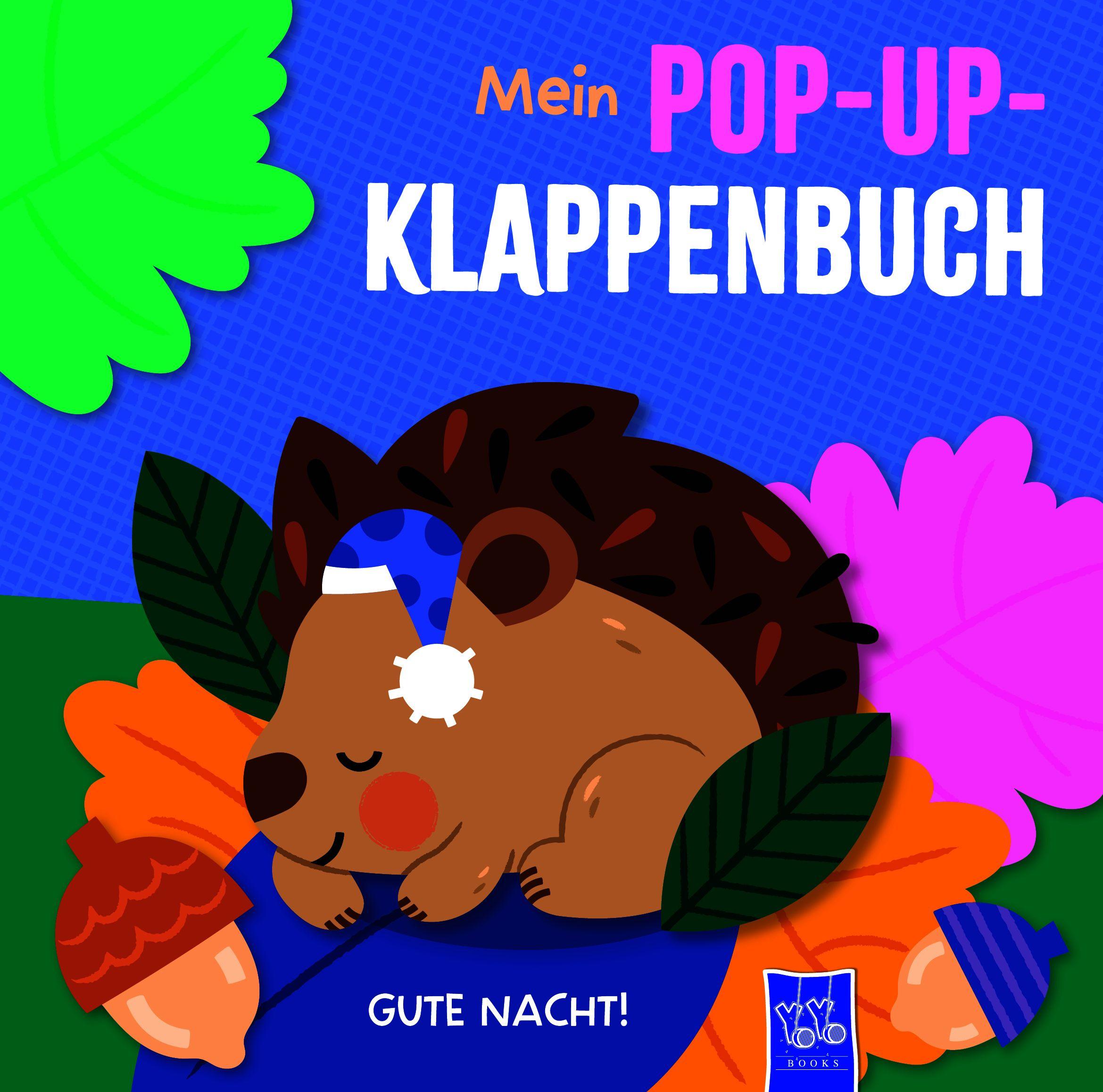 Vorderes Coverbild Mein Pop-Up-Klappenbuch - Gute Nacht