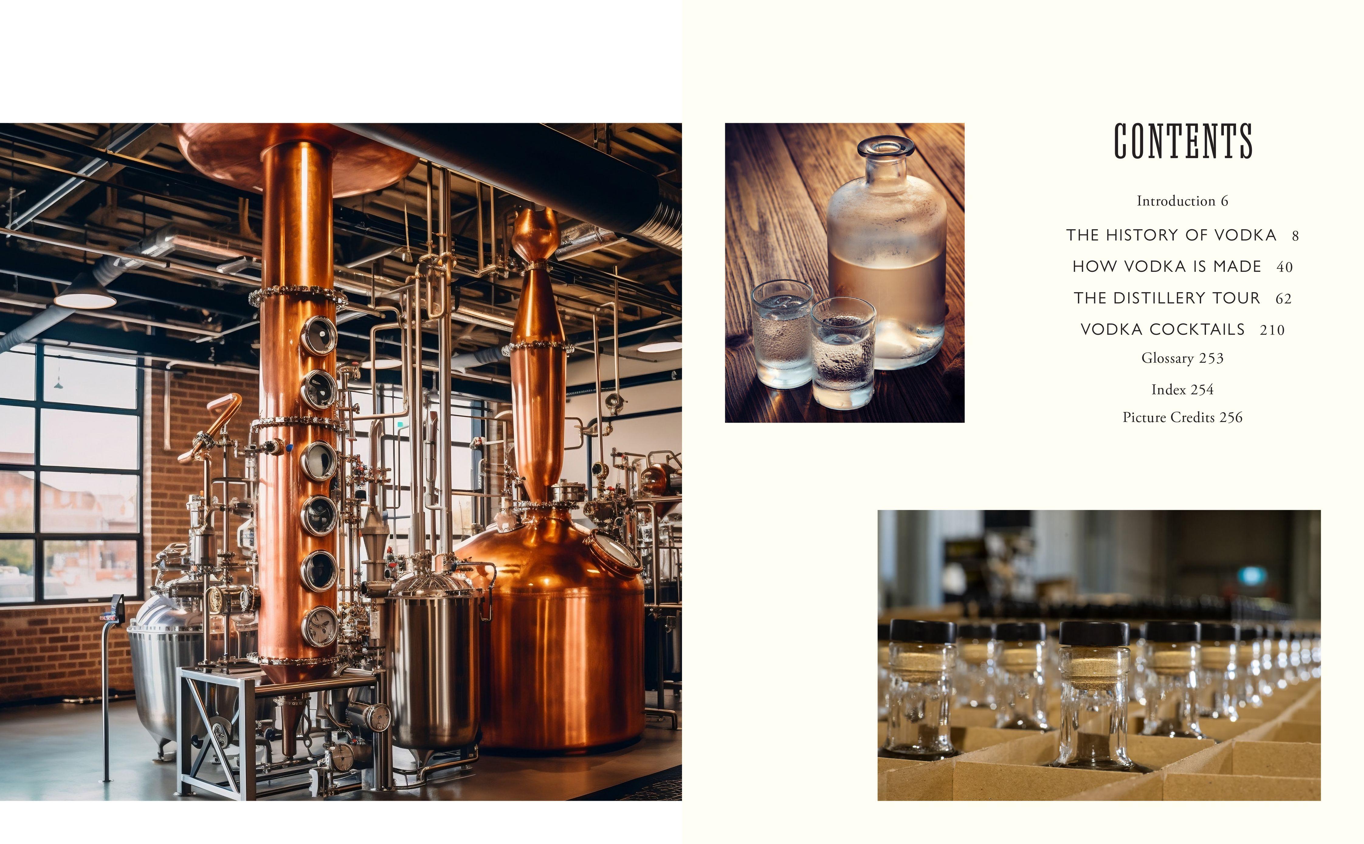 Beispielinhalt (Bild) The Curious Bartender's Vodka Chronicles