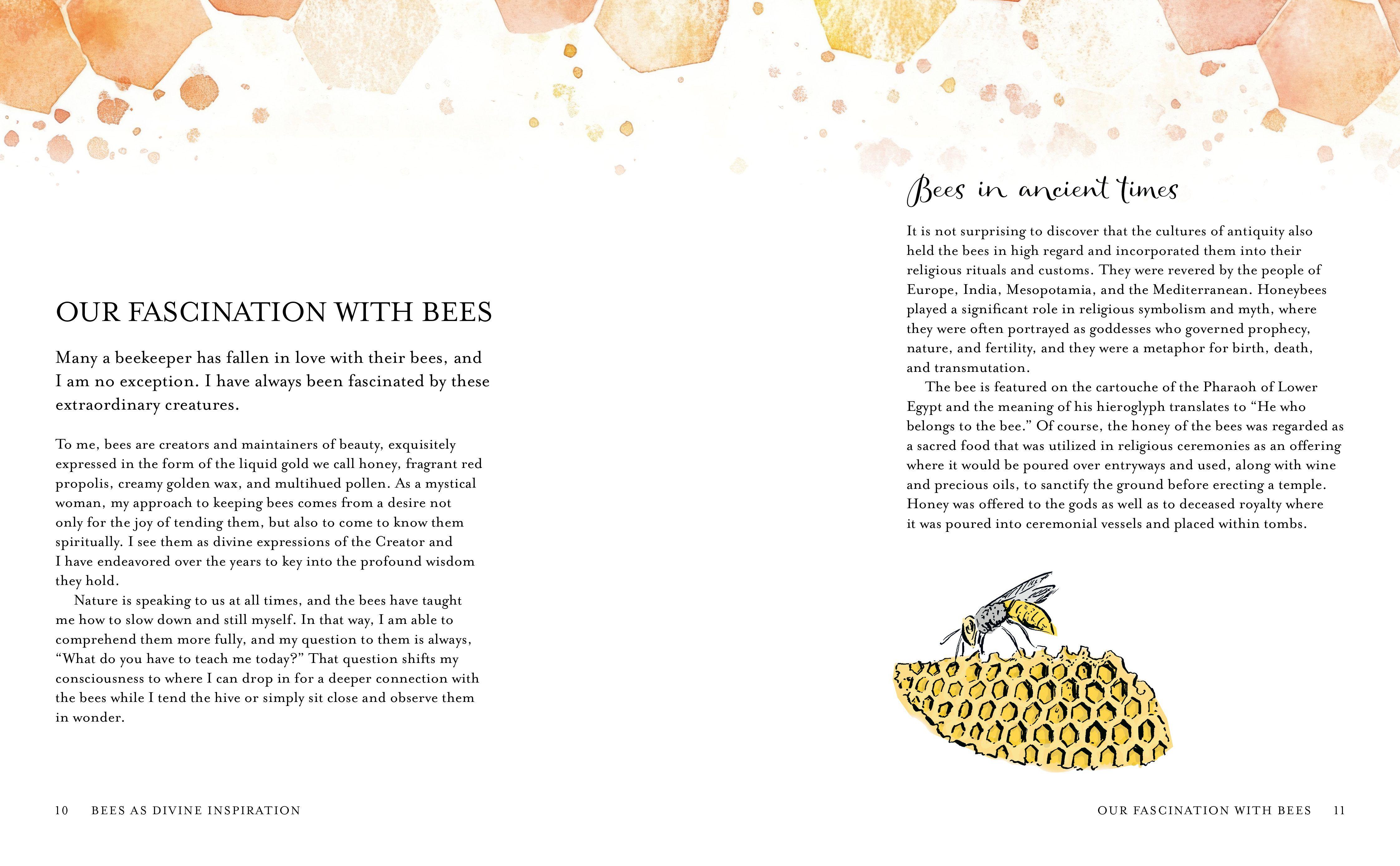 Beispielinhalt (Bild) The Wisdom of Honeybees