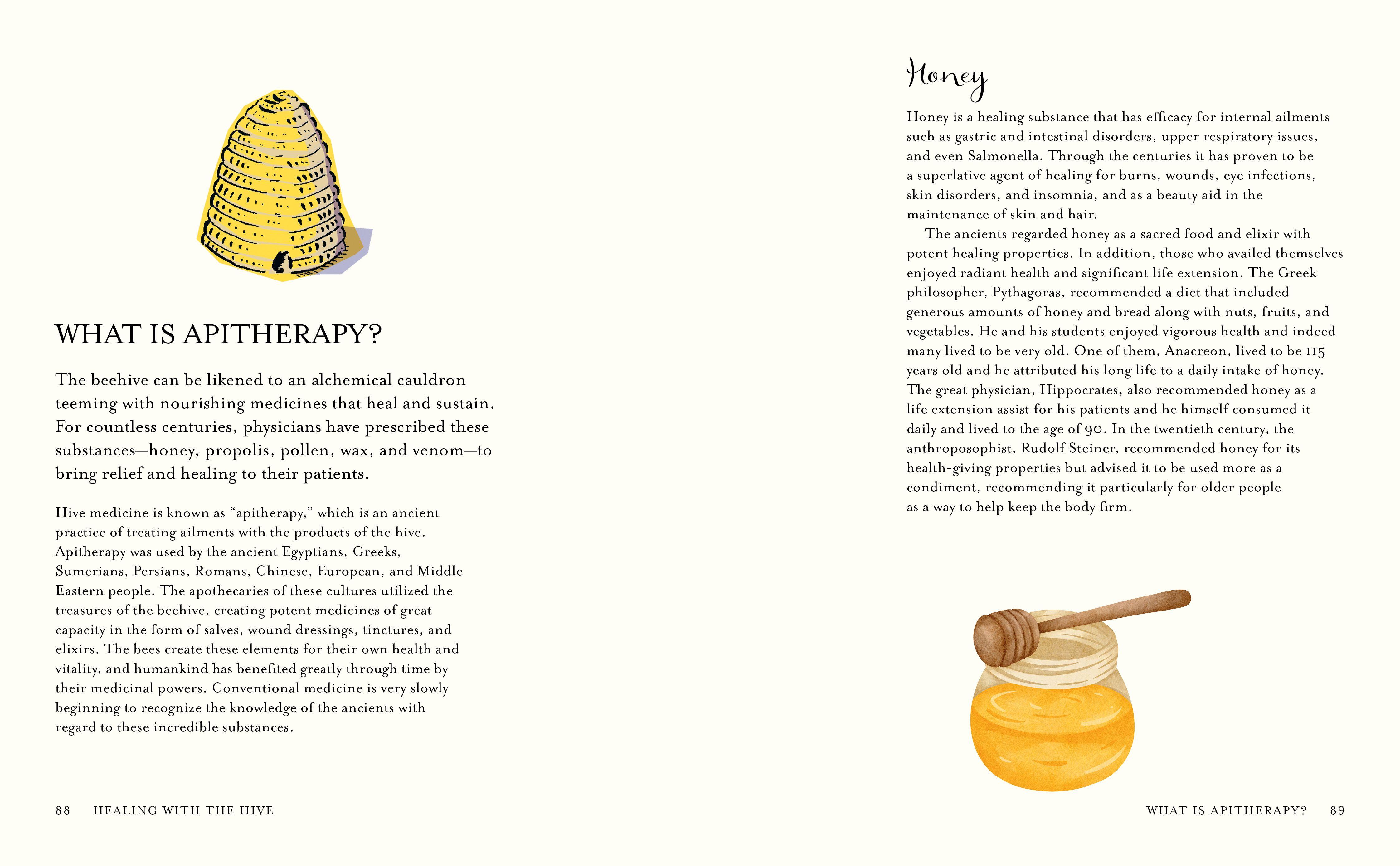 Beispielinhalt (Bild) The Wisdom of Honeybees