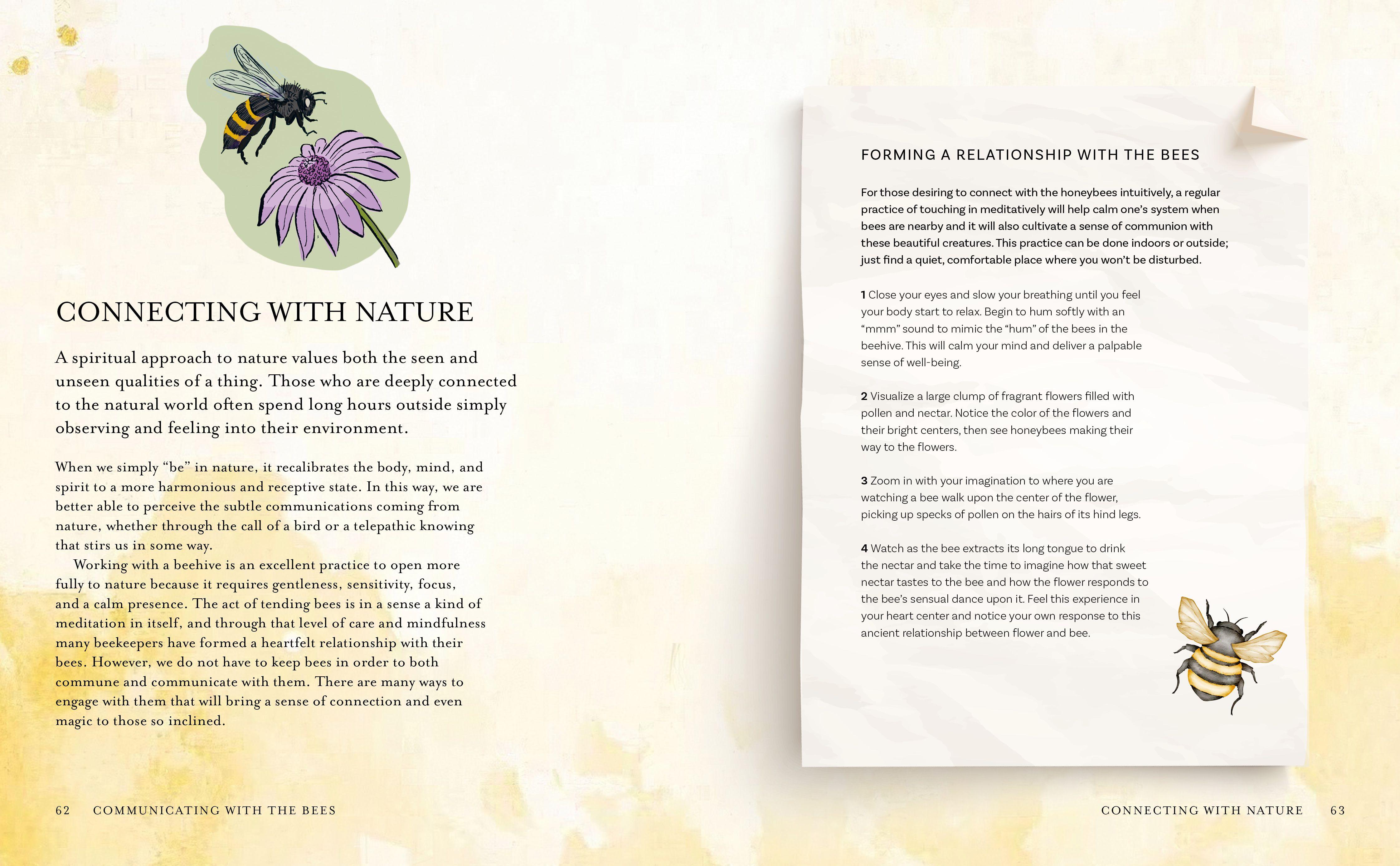 Beispielinhalt (Bild) The Wisdom of Honeybees