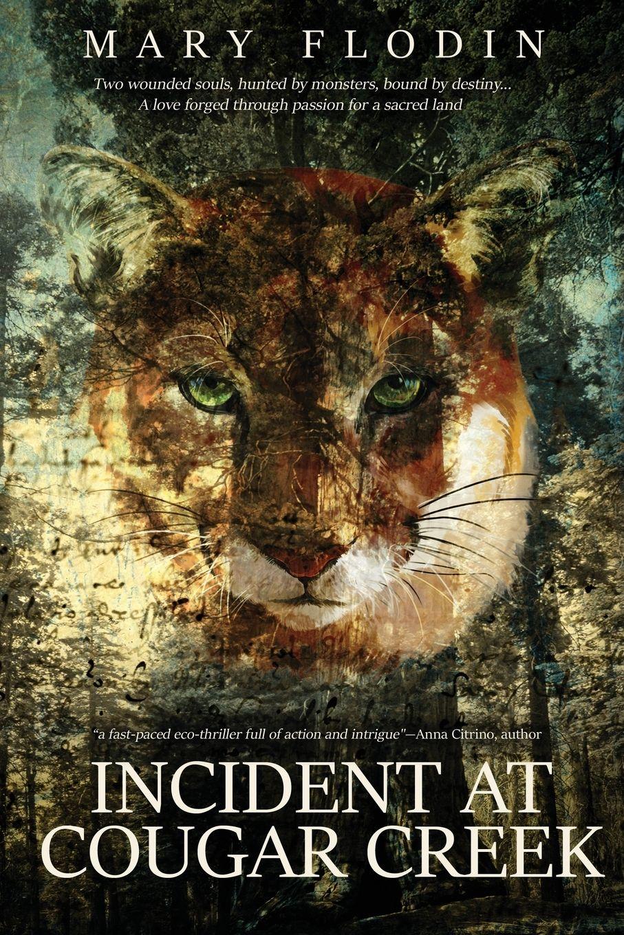 Vorderes Coverbild Incident at Cougar Creek