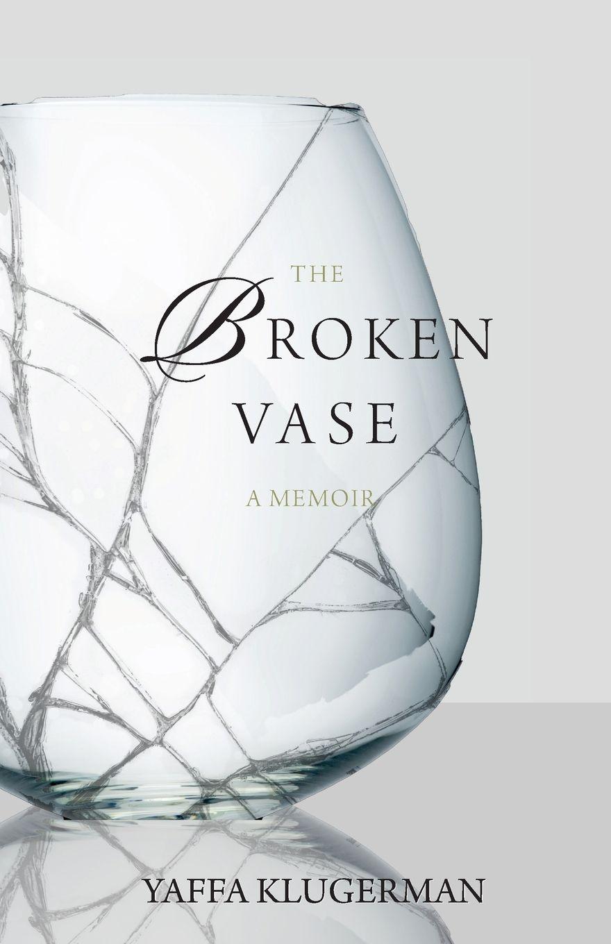 Vorderes Coverbild The Broken Vase