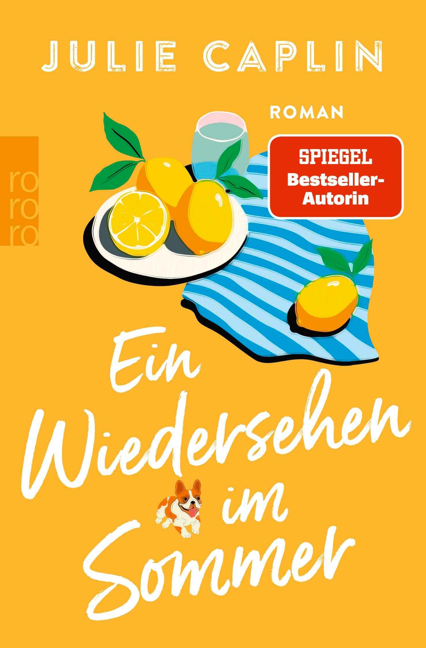 Vorderes Coverbild Ein Wiedersehen im Sommer