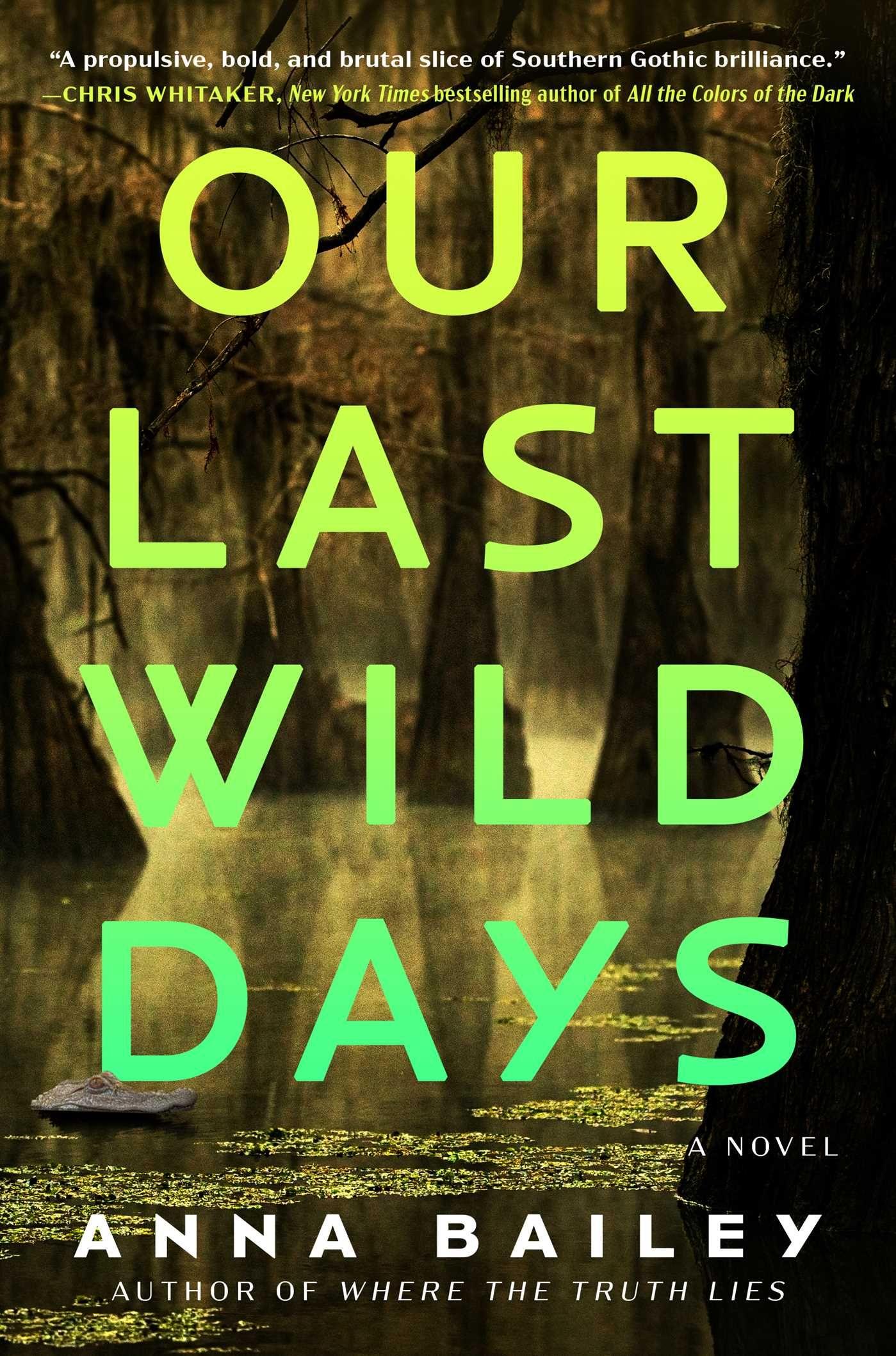 Vorderes Coverbild Our Last Wild Days