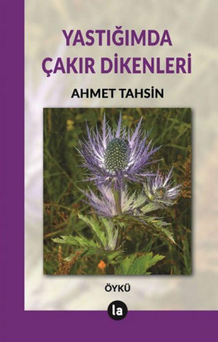 Vorderes Coverbild Yastigimda Cakir Dikenleri
