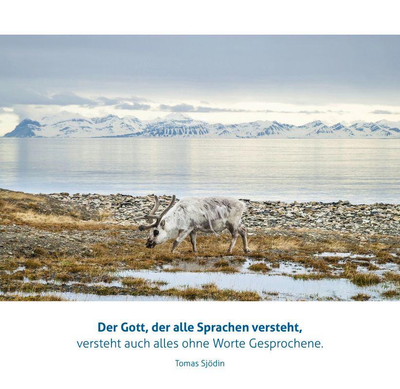 Beispielinhalt (Bild) Dem Leben Tiefe geben