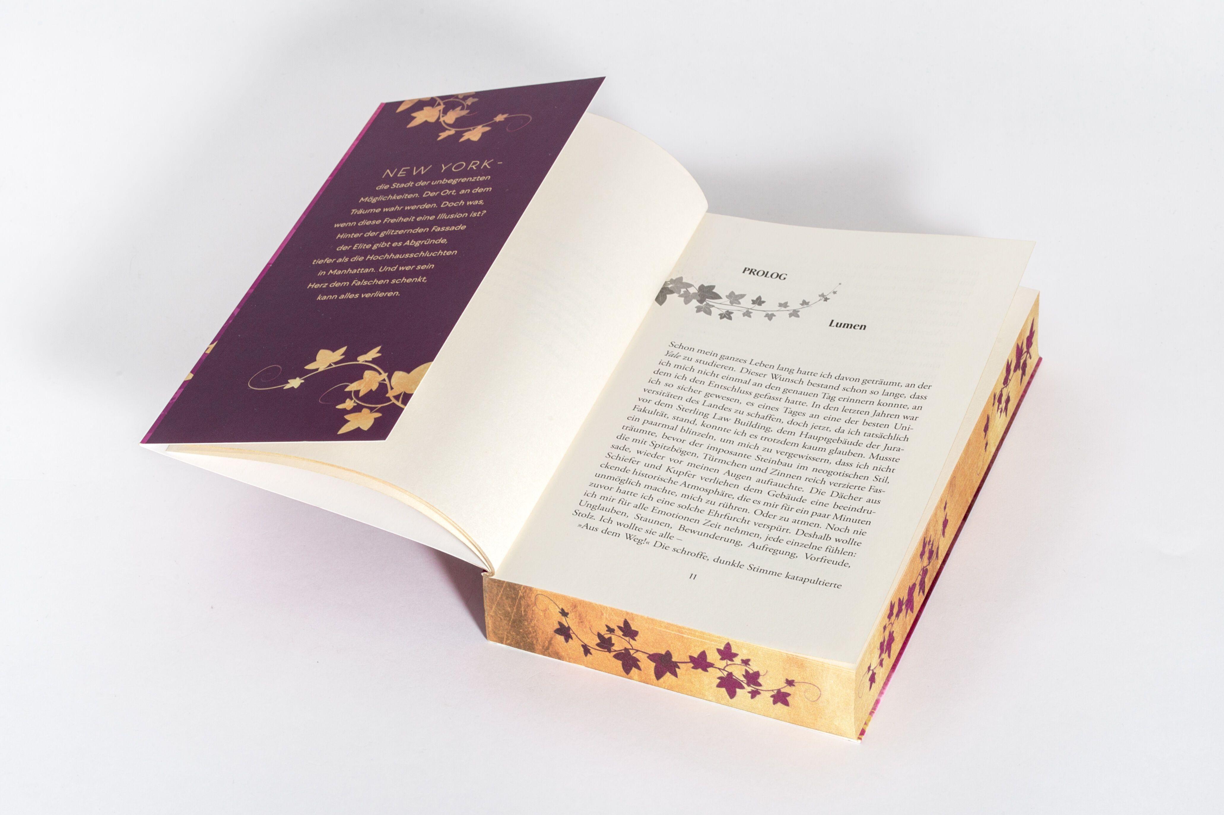 Beispielinhalt (Bild) Ivy League