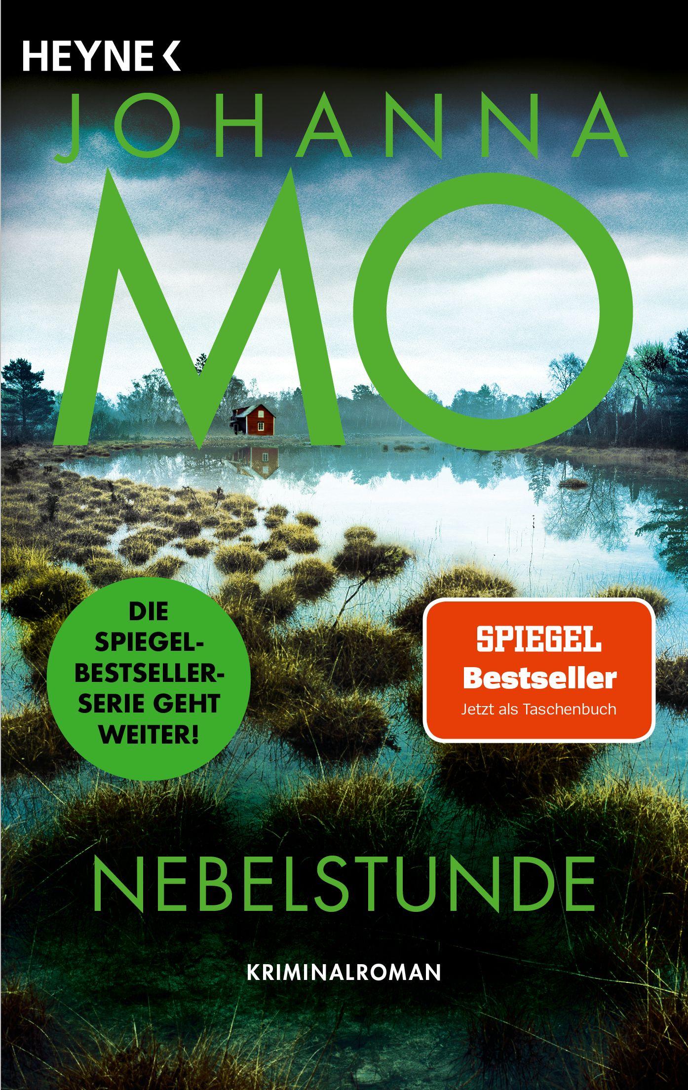 Vorderes Coverbild Nebelstunde