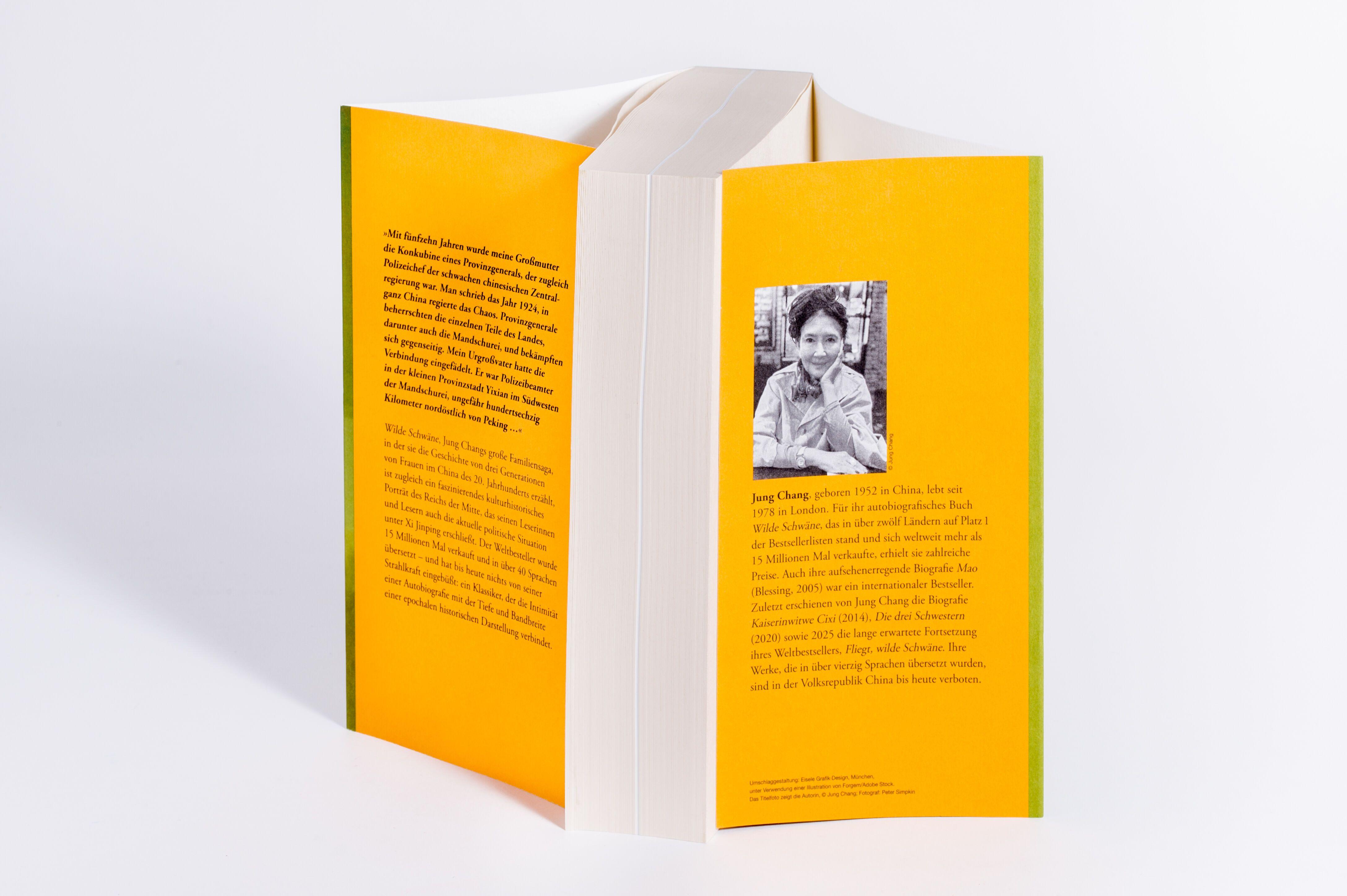 Beispielinhalt (Bild) Wilde Schwäne