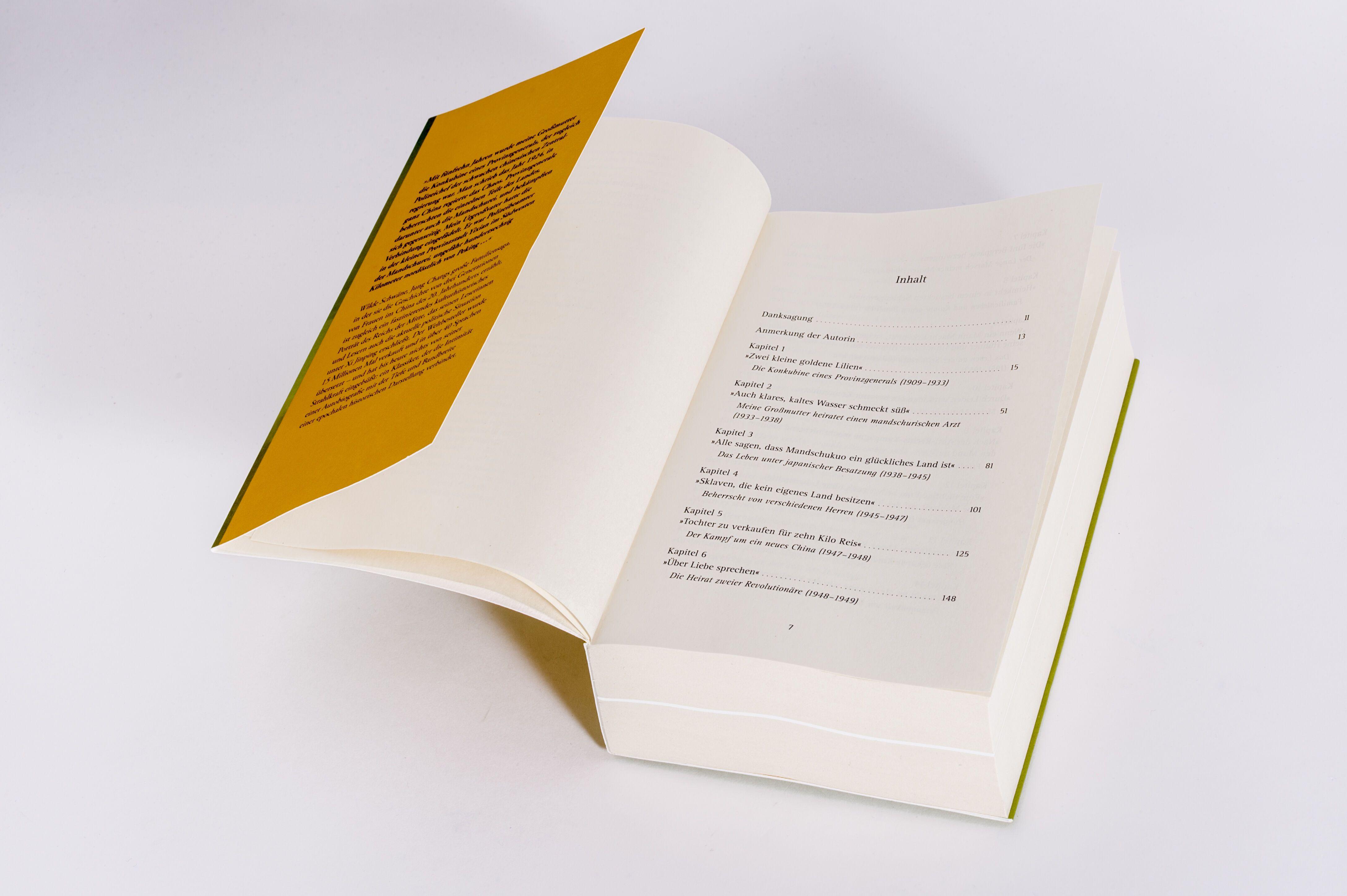 Beispielinhalt (Bild) Wilde Schwäne