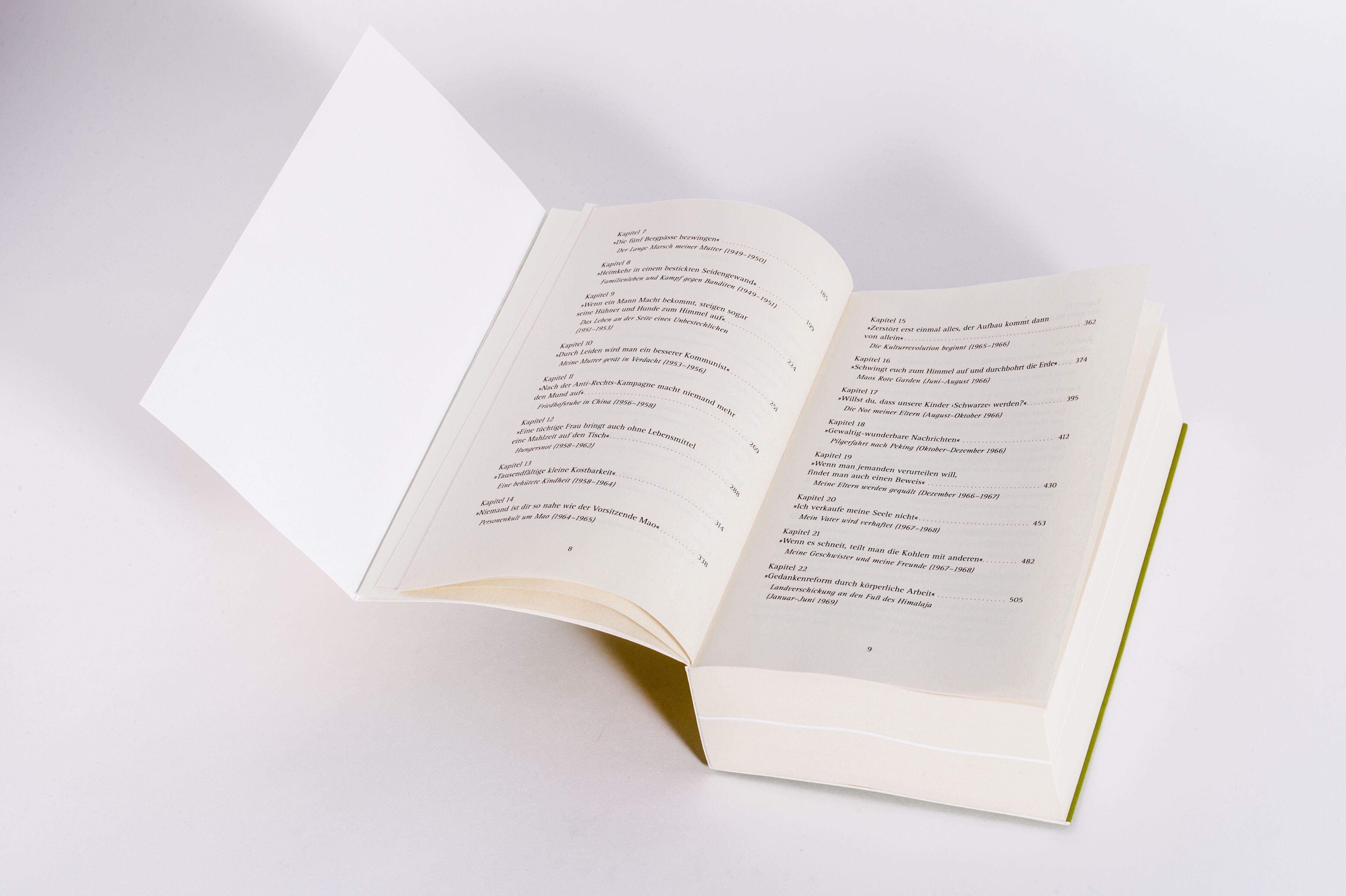 Beispielinhalt (Bild) Wilde Schwäne