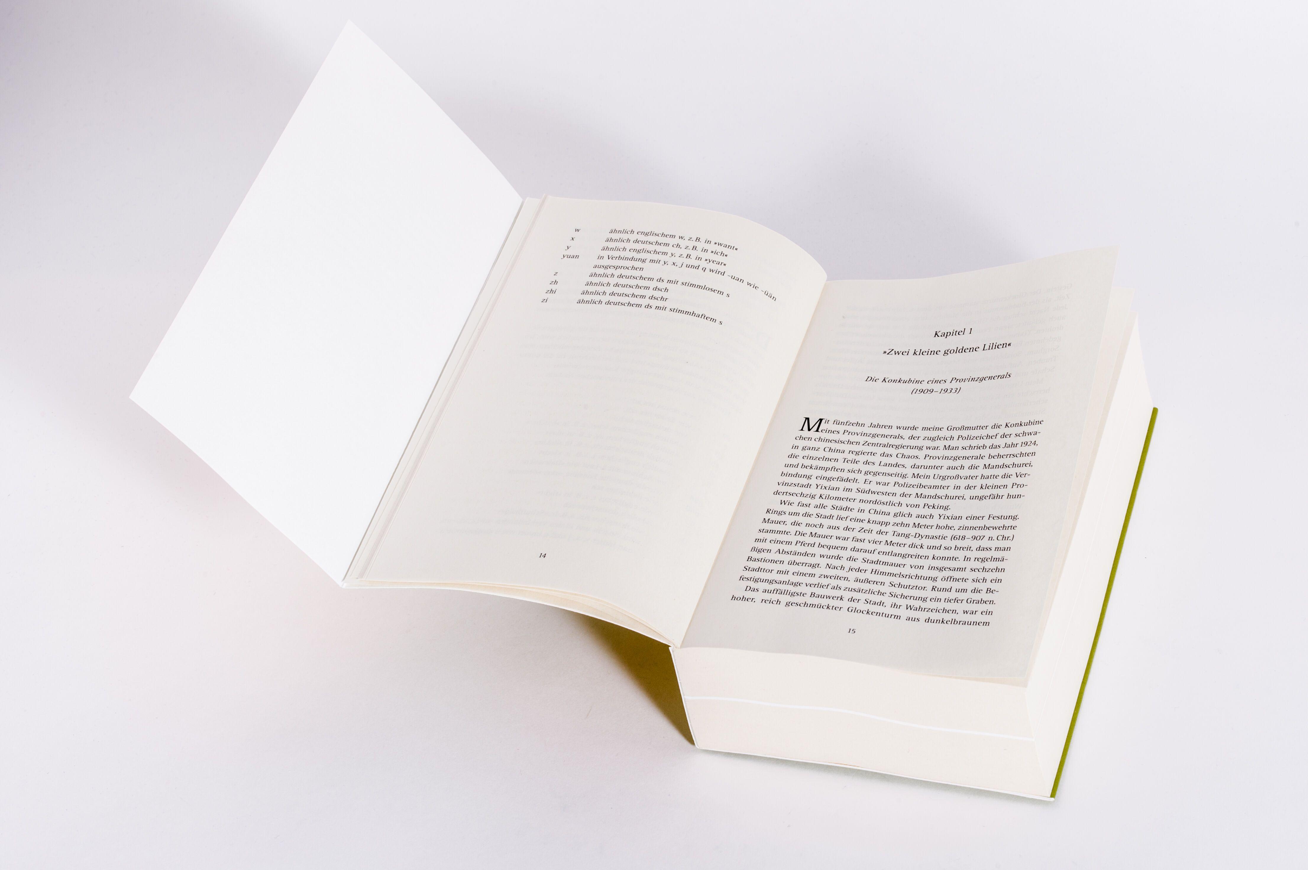 Beispielinhalt (Bild) Wilde Schwäne