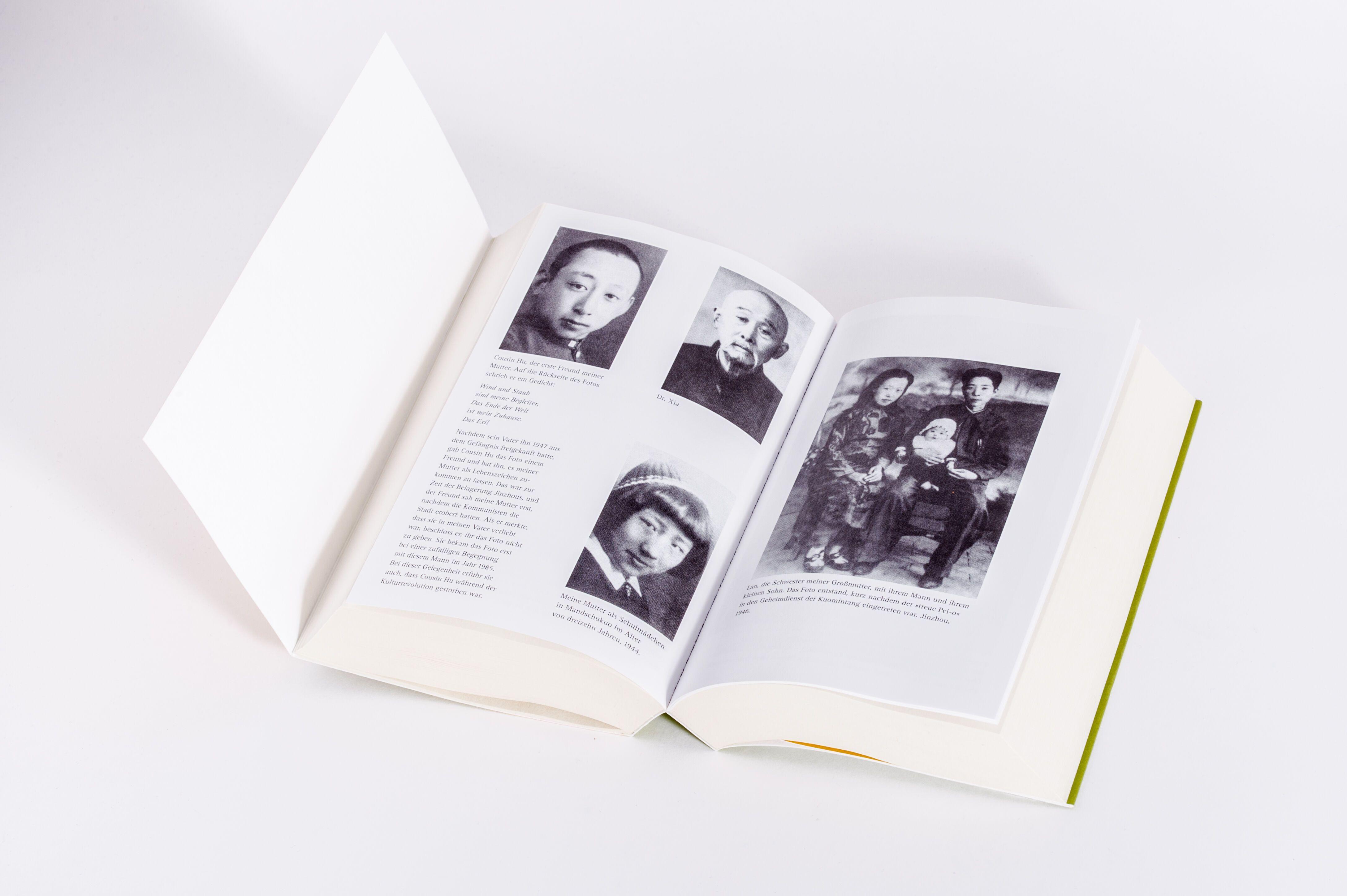 Beispielinhalt (Bild) Wilde Schwäne