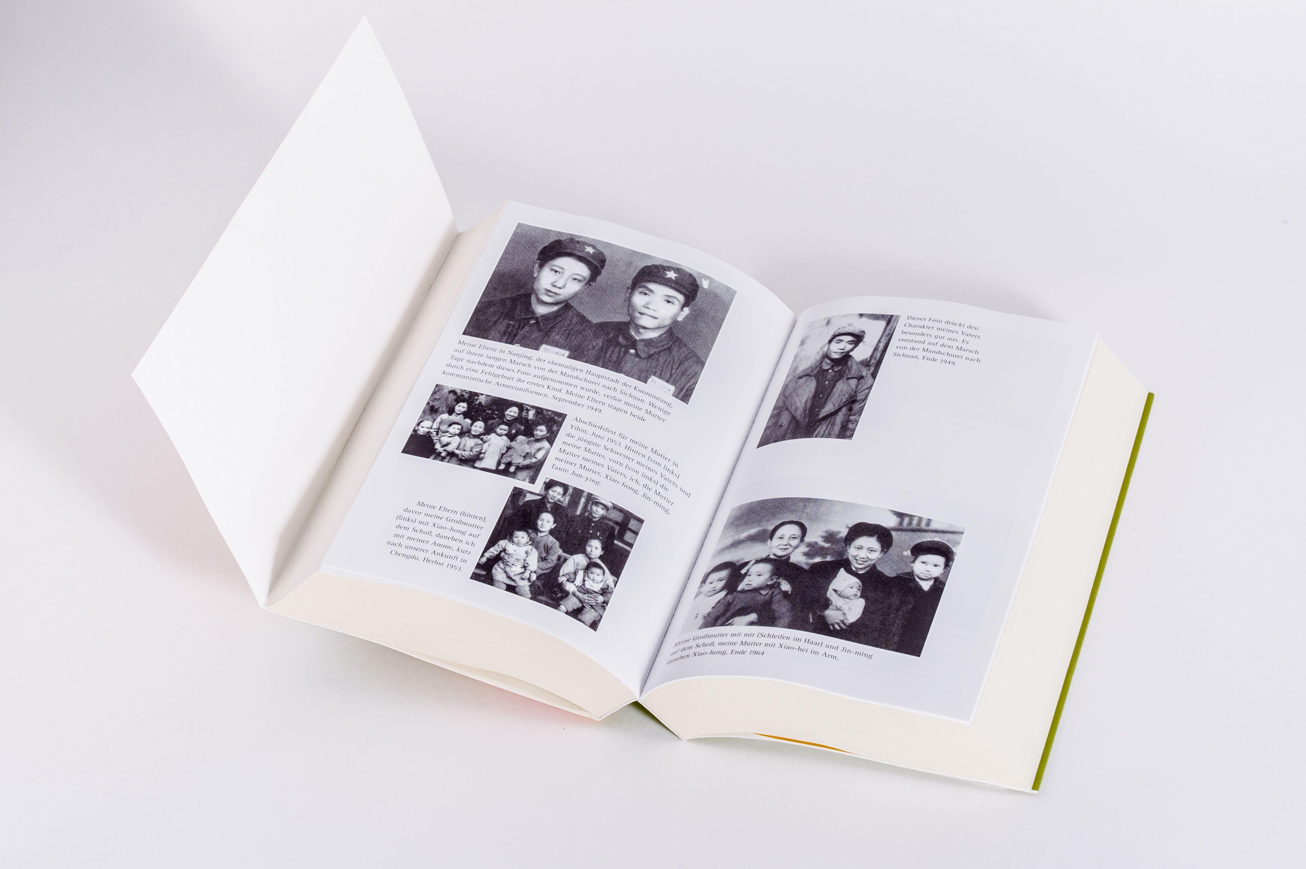 Beispielinhalt (Bild) Wilde Schwäne