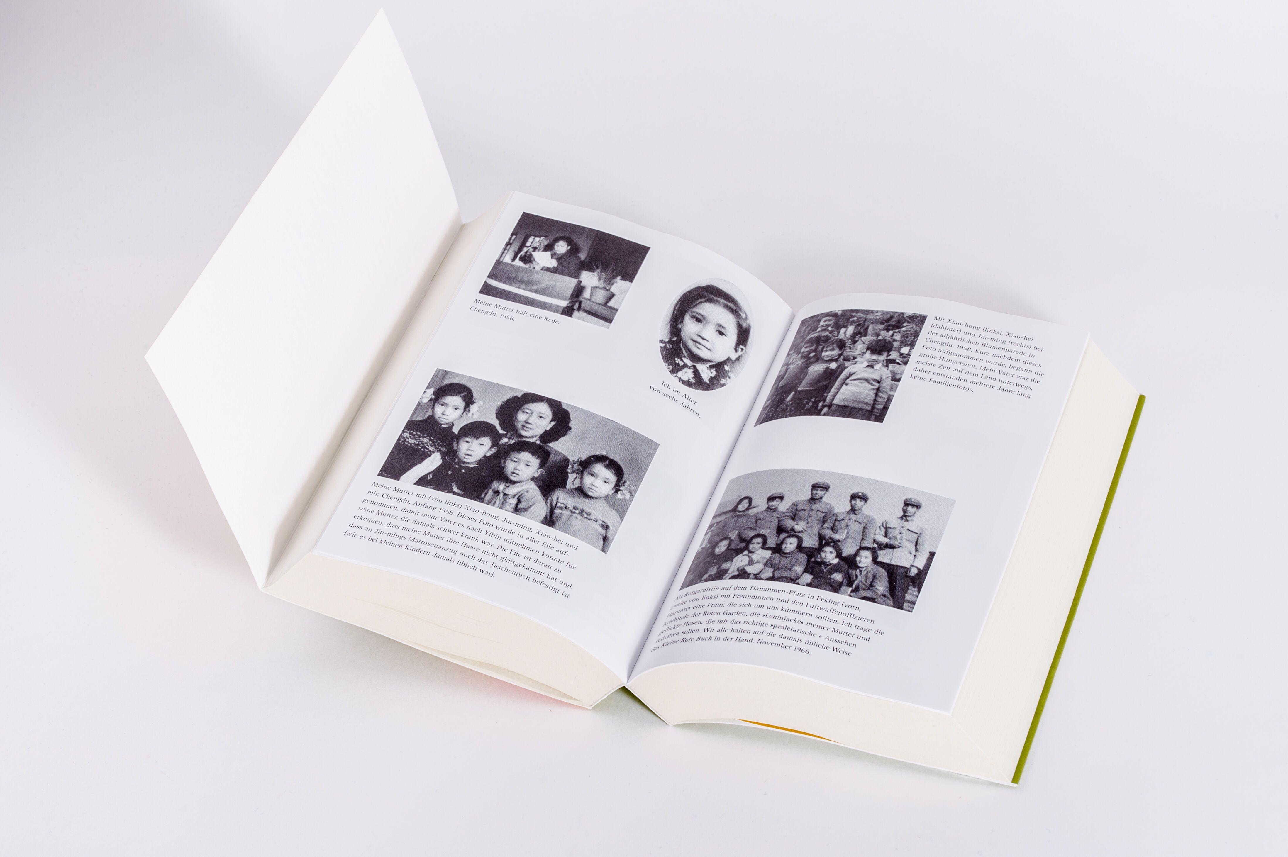 Beispielinhalt (Bild) Wilde Schwäne